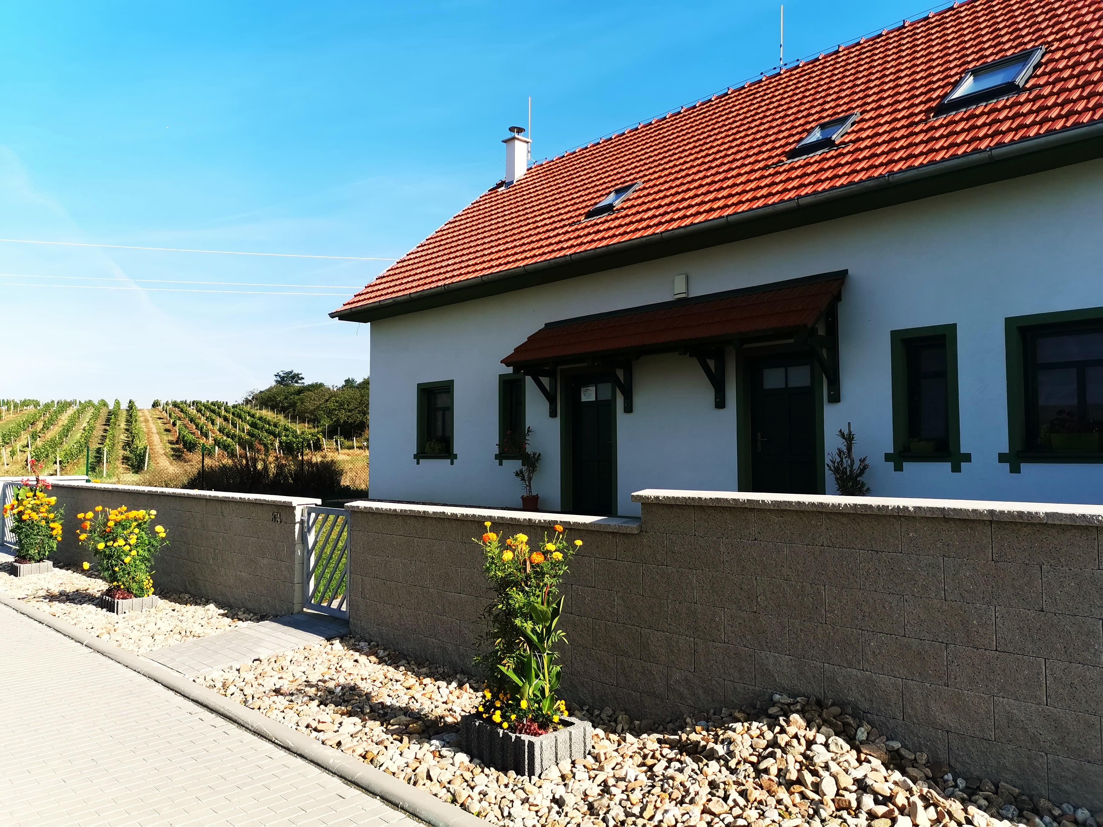 Ubytování v soukromí Pálava Perná foto 3