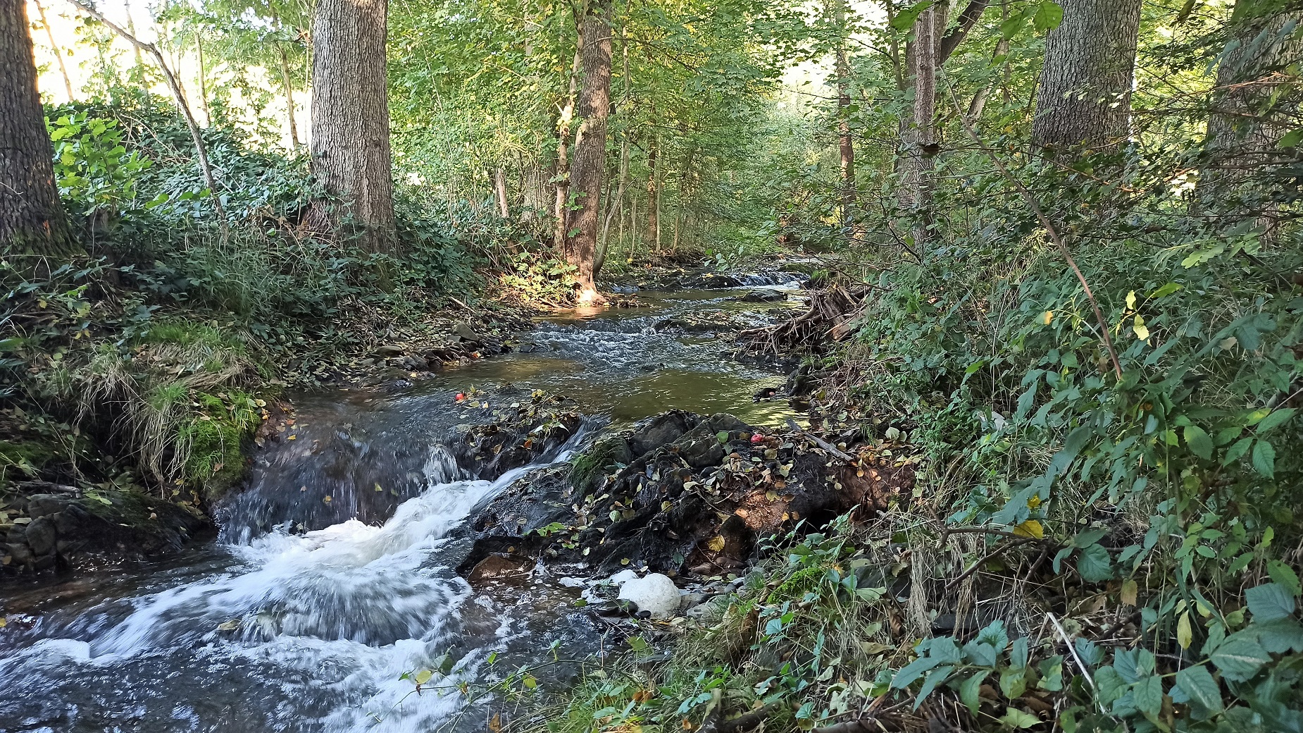 Hydrogeolog Morava foto 6