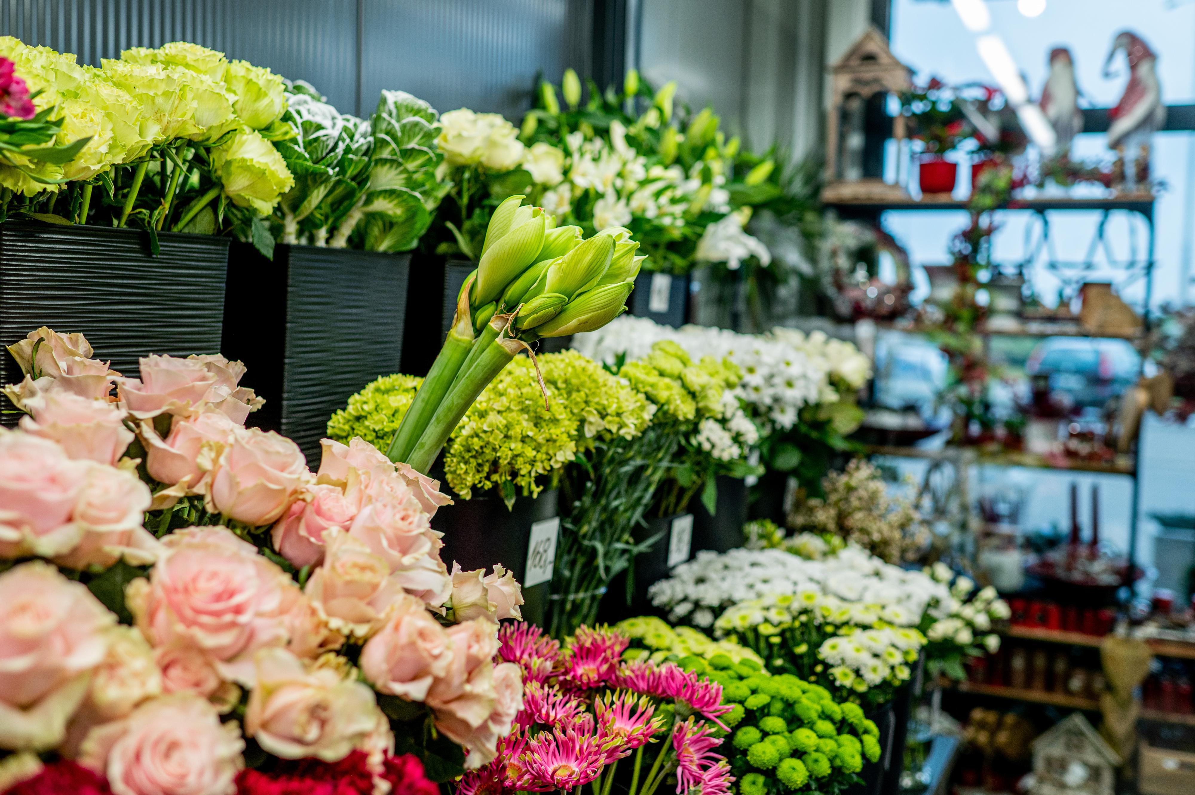 Květiny Šťastný foto 6