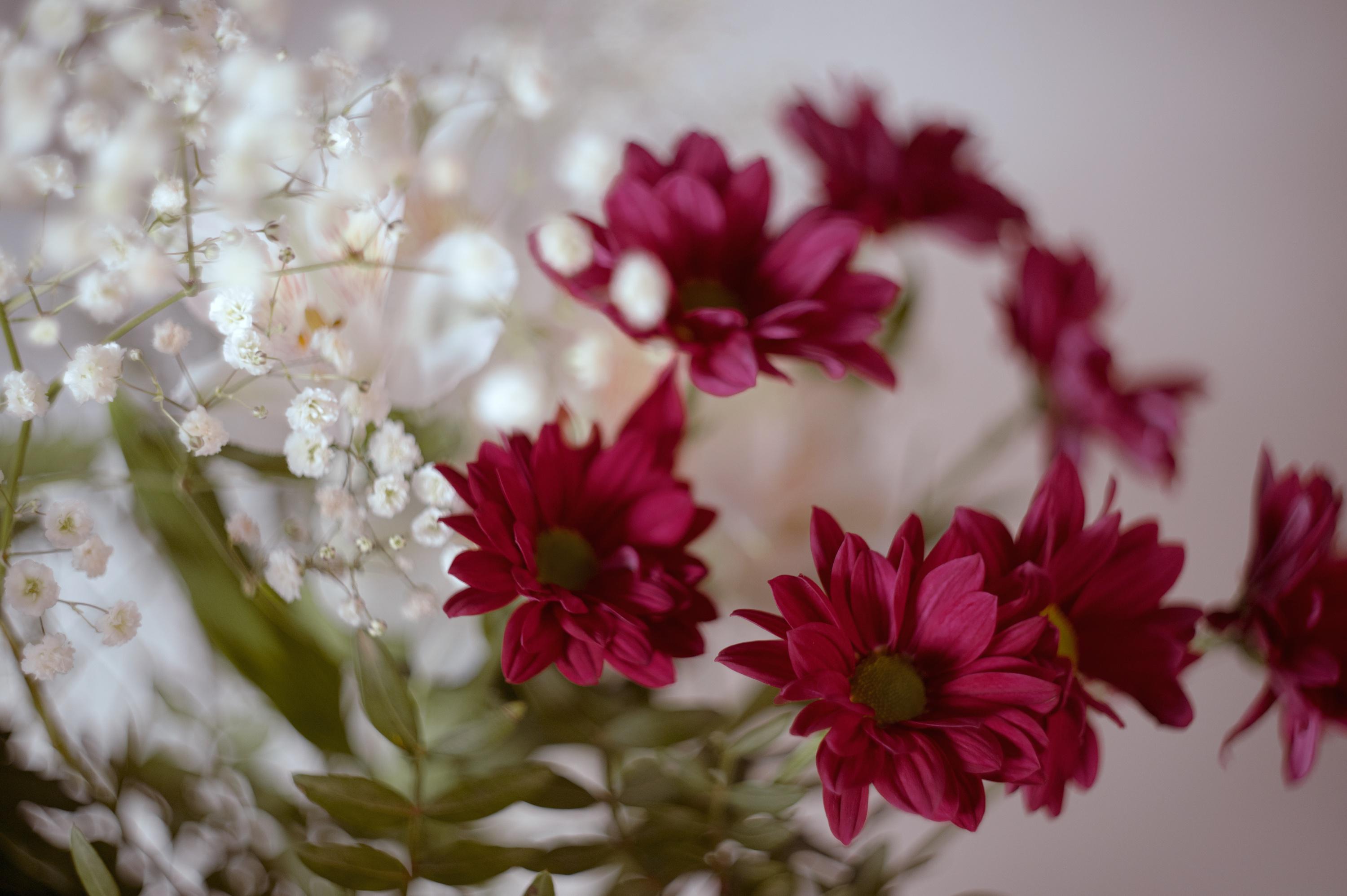 Pohřební služby Sommer