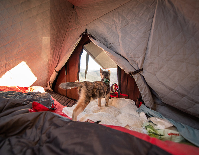 Roofcamping.cz foto 3