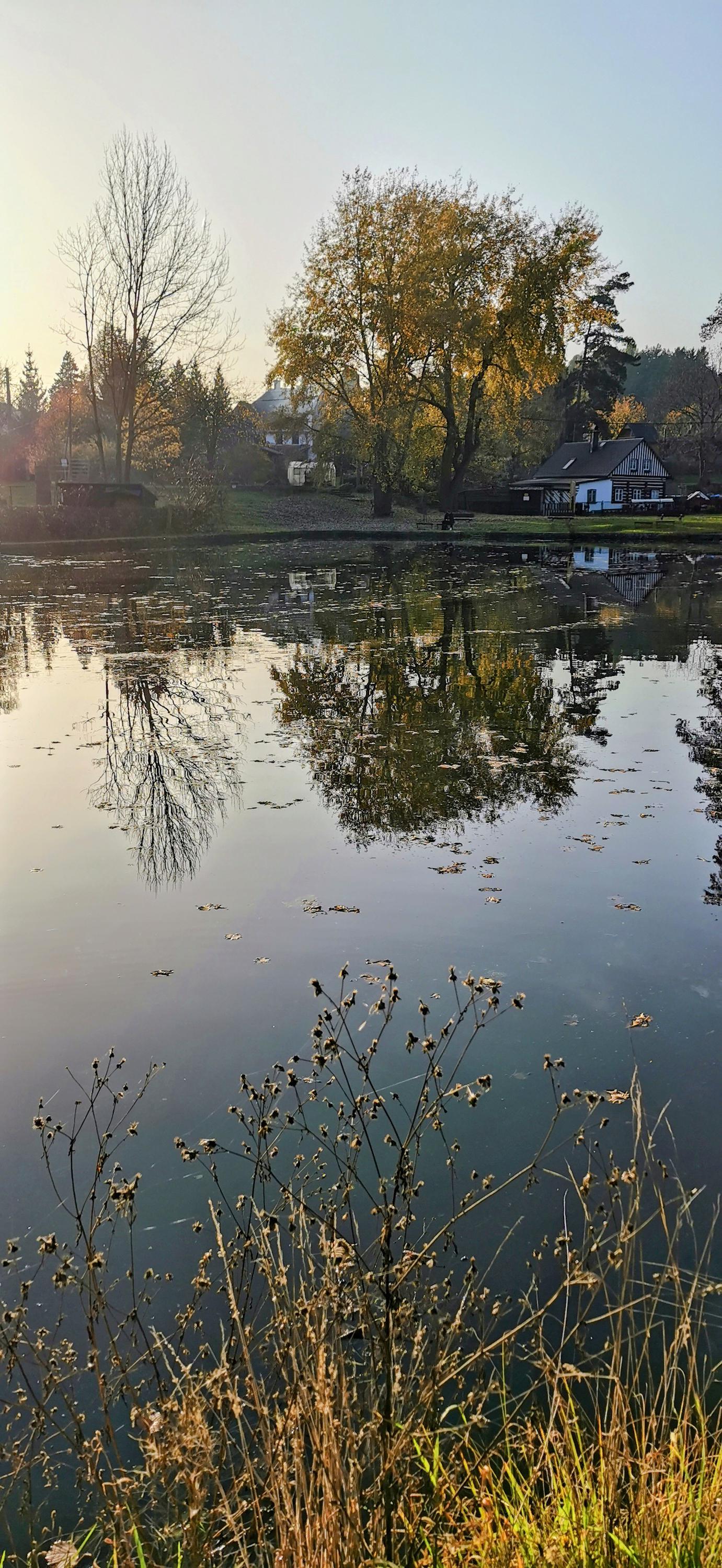 Koupaliště Polesí foto 6