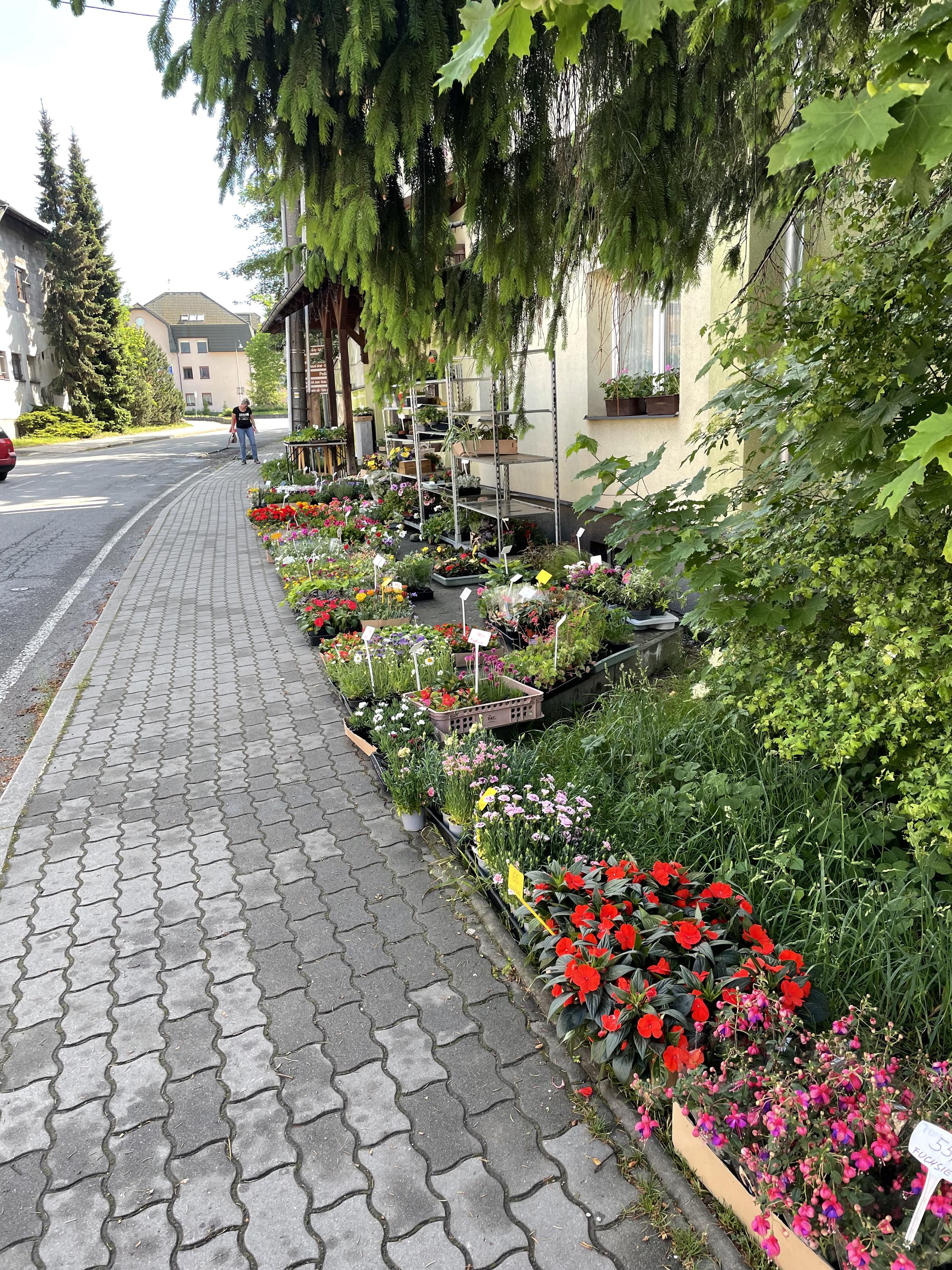 Květinářství, chovatelské a zahradnické potřeby foto 5