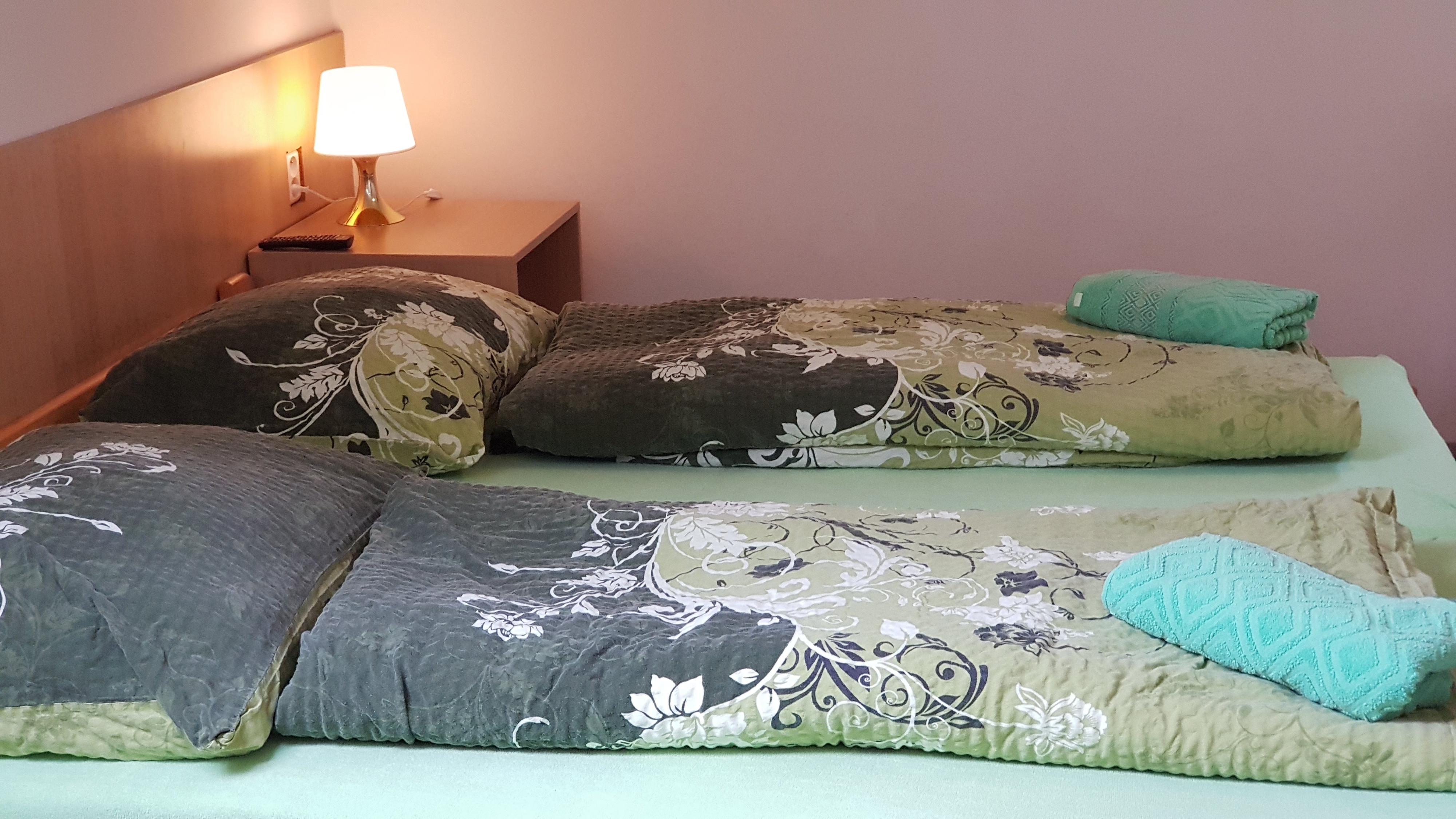 PENZION U DVOU JEDLÍ foto 6