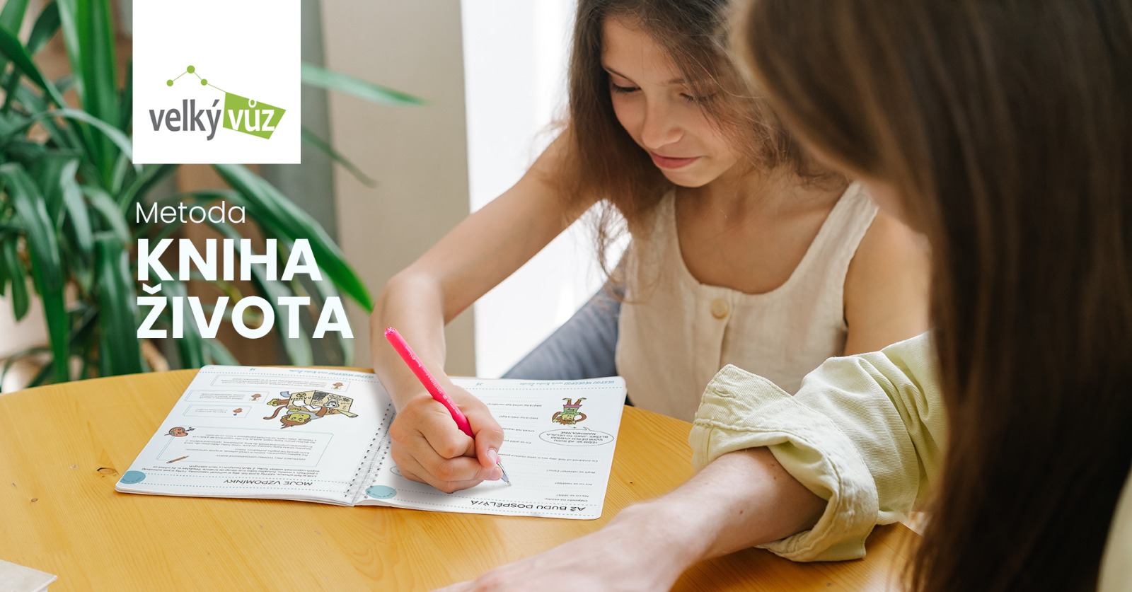 Velký vůz Sever – poradenské a vzdělávací centrum, z.ú. foto 4