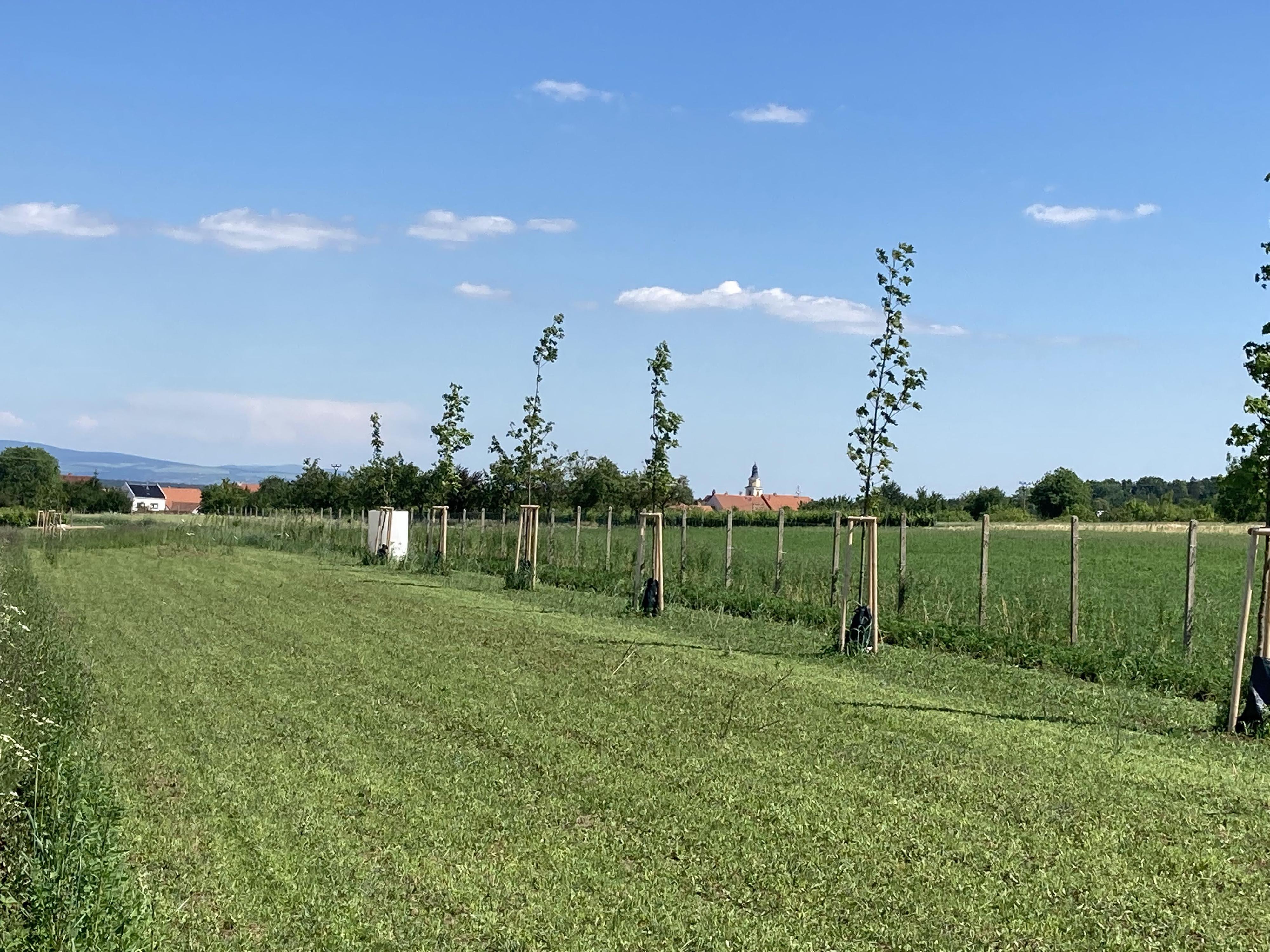 Altromutěnice, s.r.o. foto 2