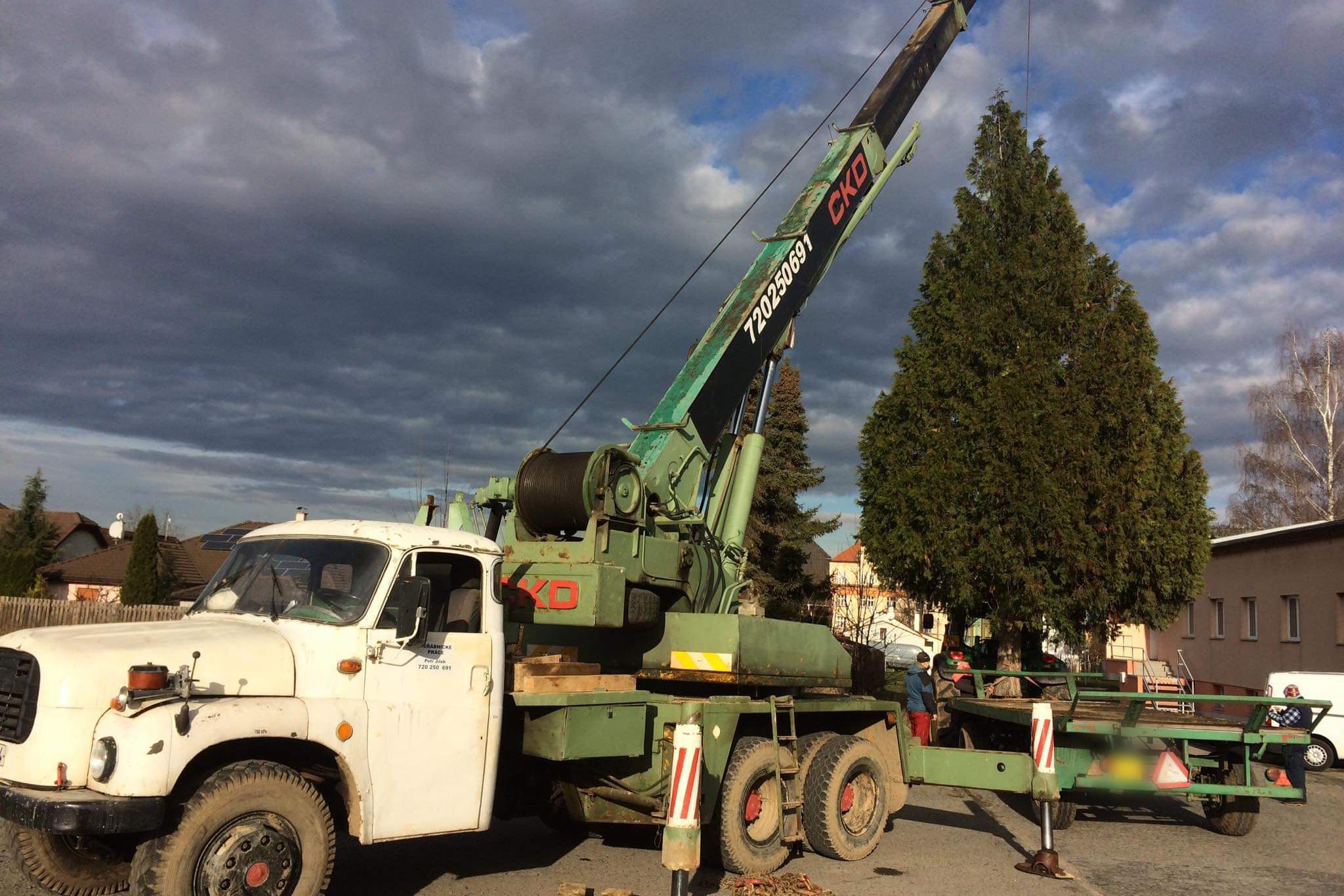 Rizikové kácení stromů Jílek