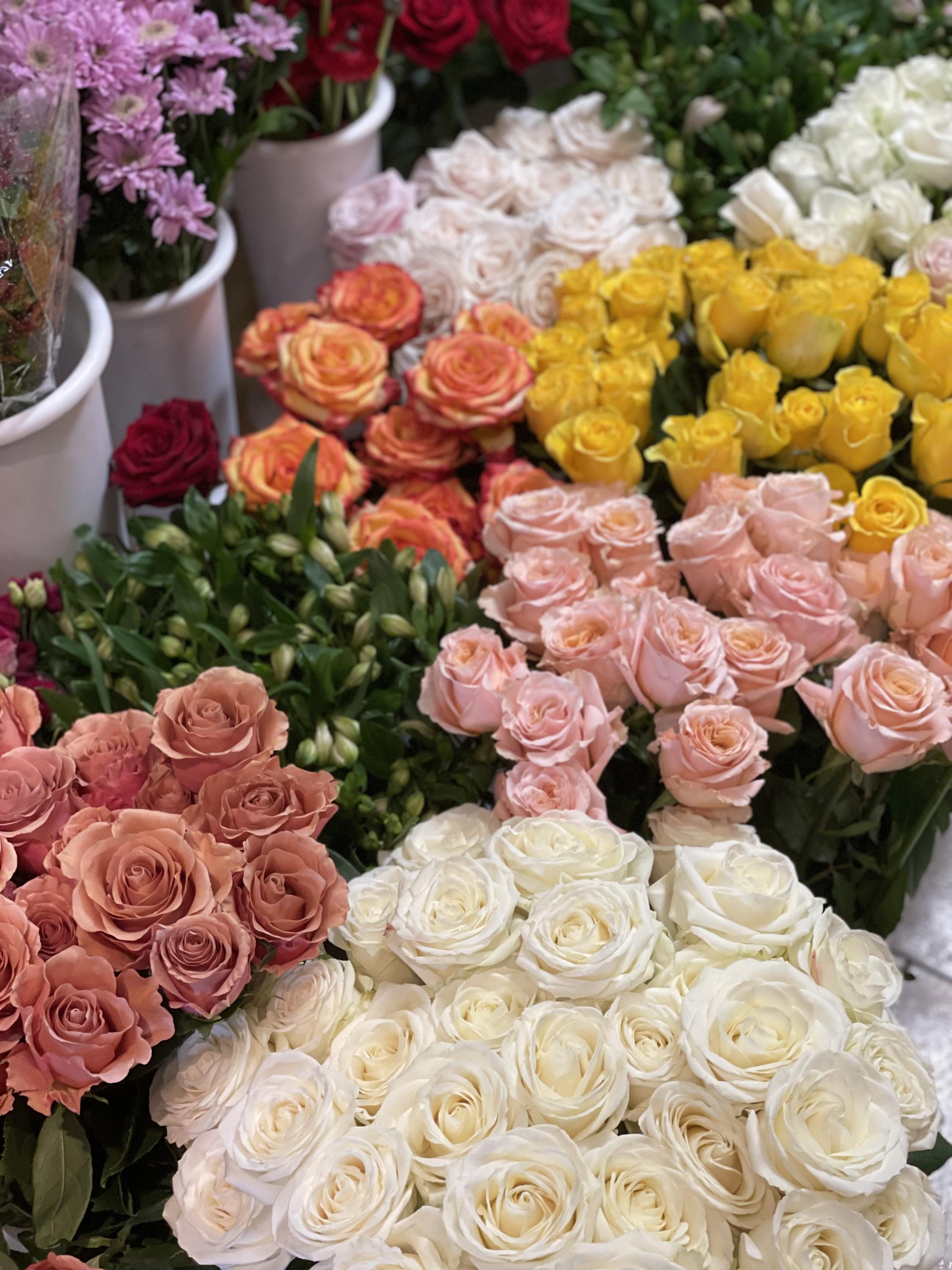 JR Fleur foto 3