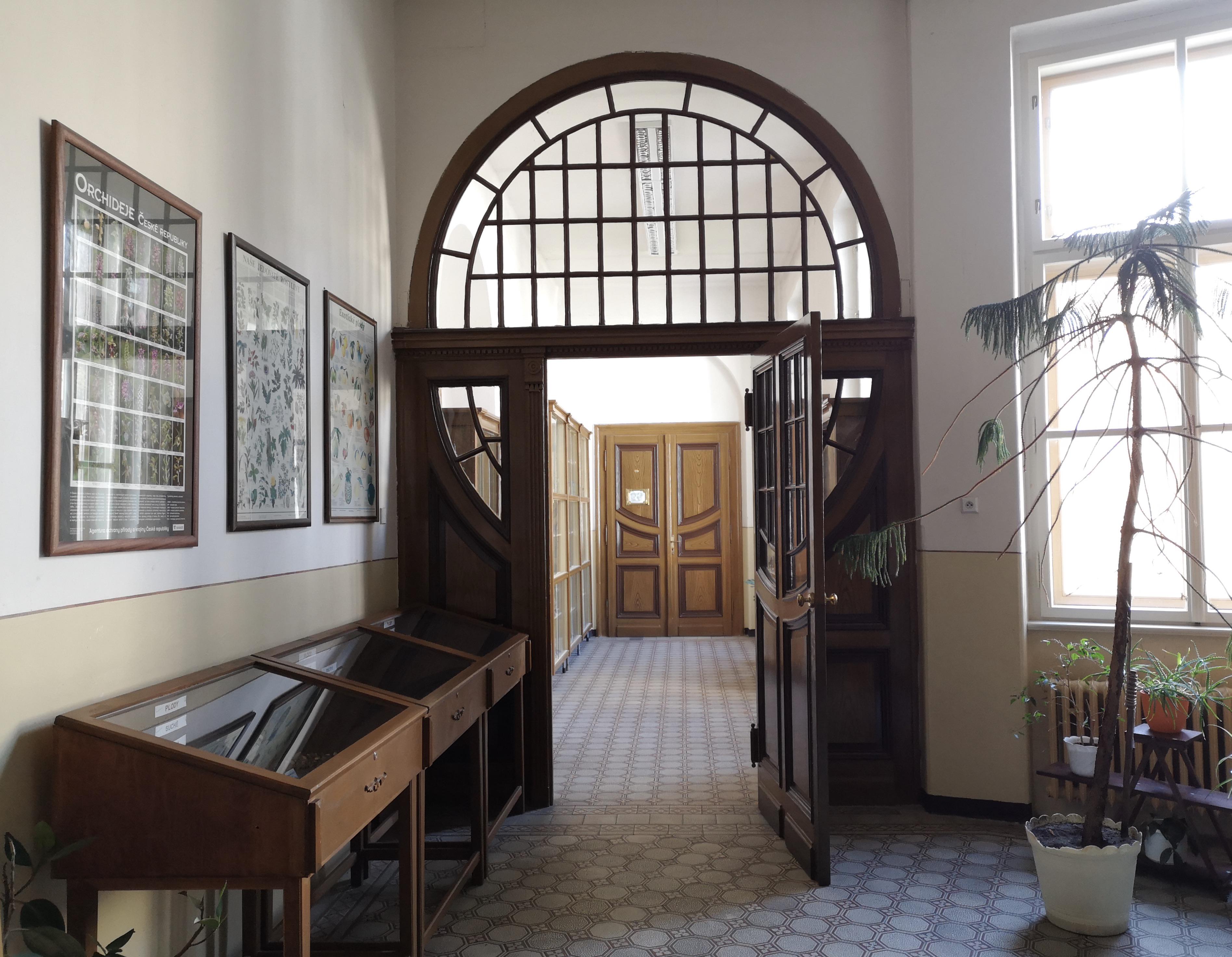 Gymnázium Teplice foto 3