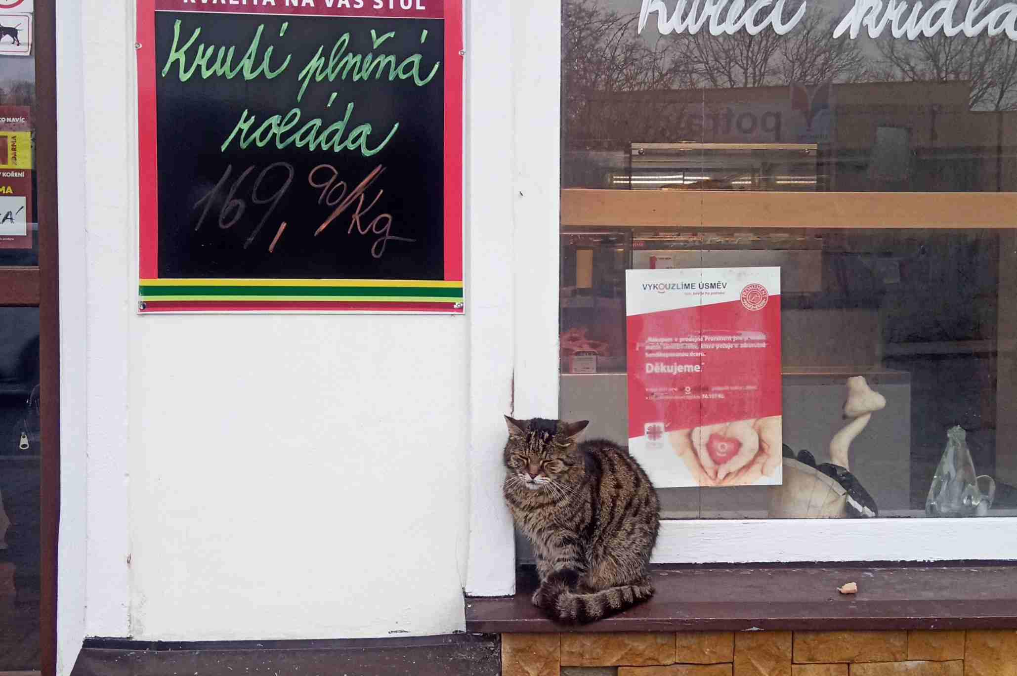 Prominent CZ - krutimaso.cz foto 6