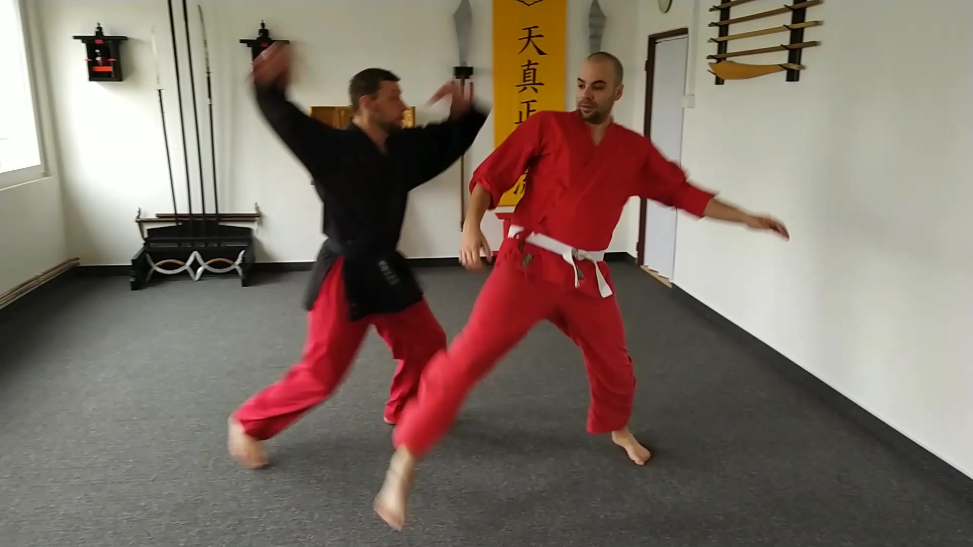 TENSHIN SHODEN RYU, z.s. foto 2 (náhled videa)
