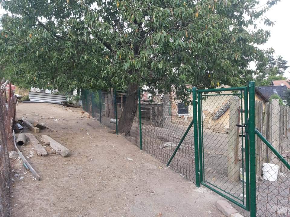 Bajer - dům, byt, zahrada foto 4