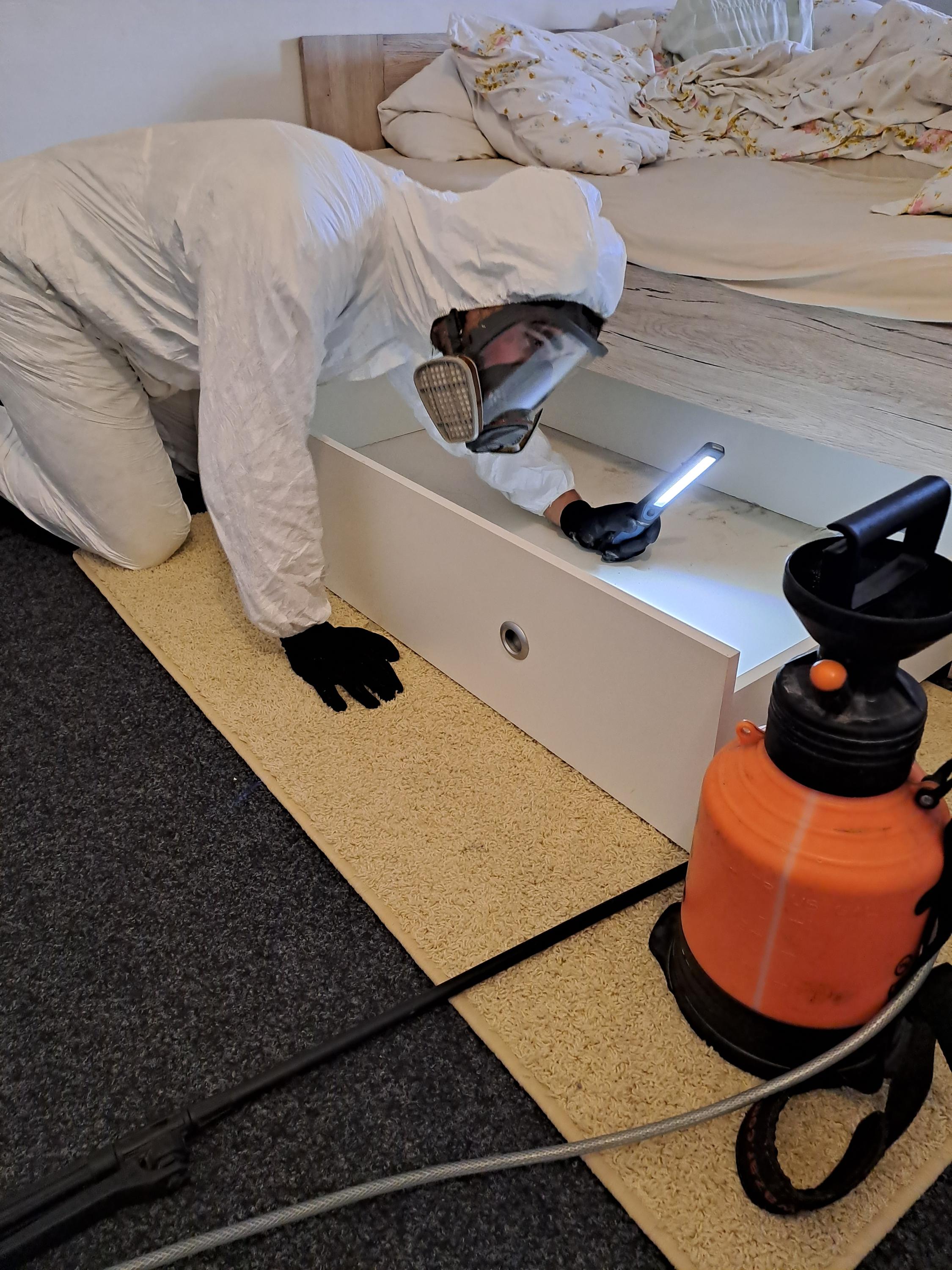 Hmyzáček deratizace-dezinsekce-dezinfekce foto 2