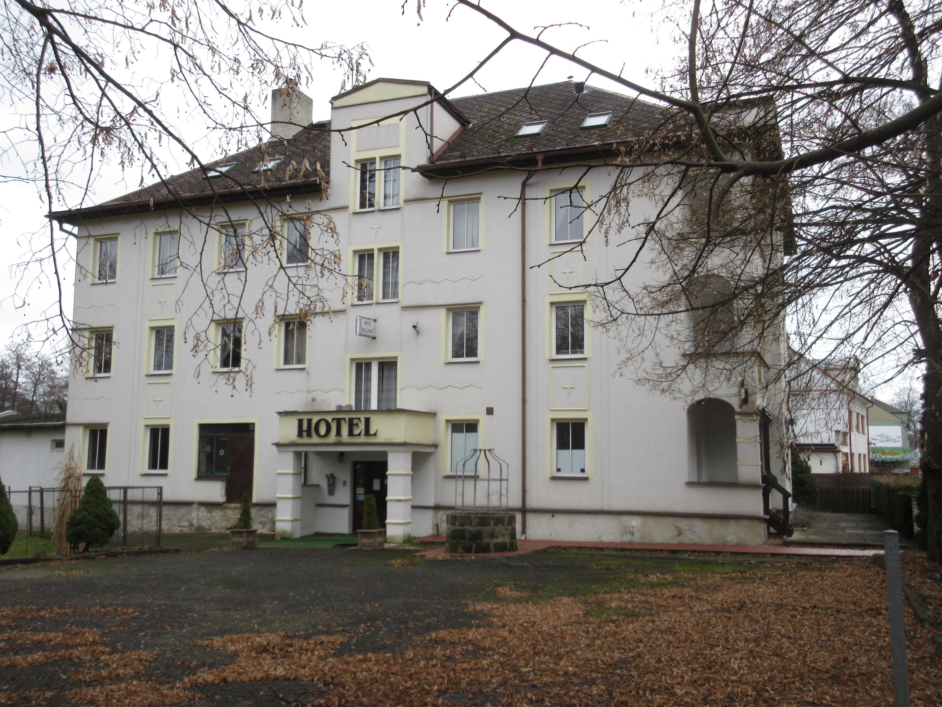 Hotel Bellevue foto 3