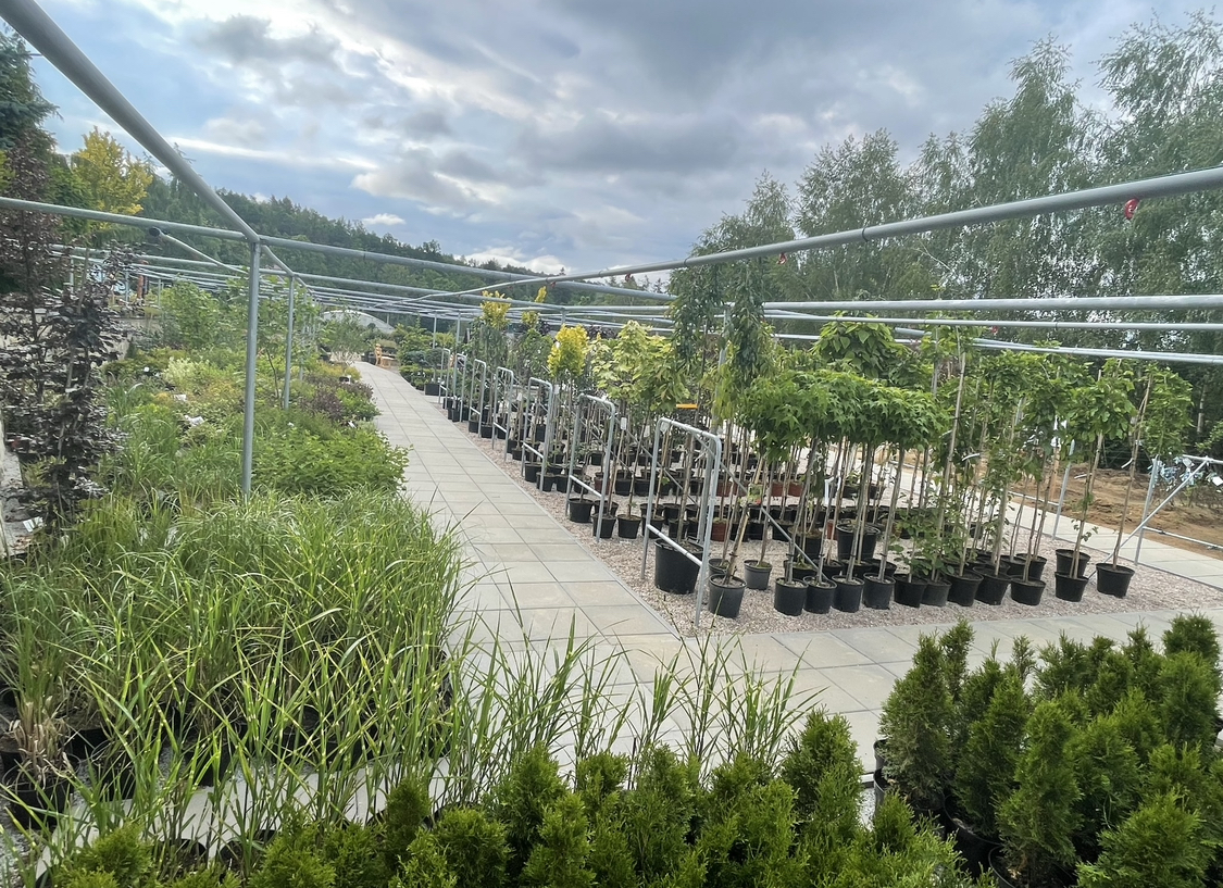 Zahradnictví Chalačev foto 6