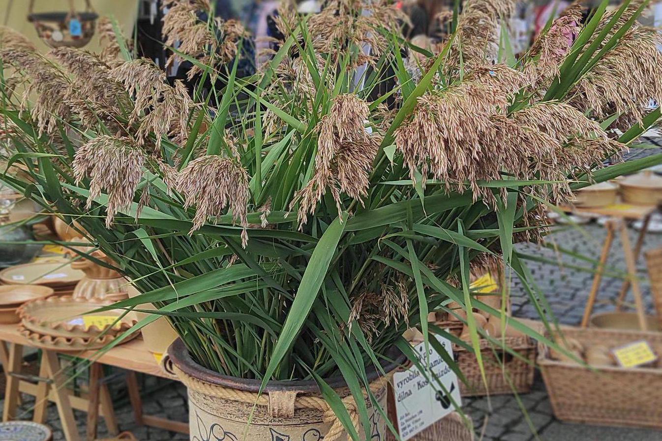Jiří Kos - Užitná a zahradní kamenina z Kosího hnízda