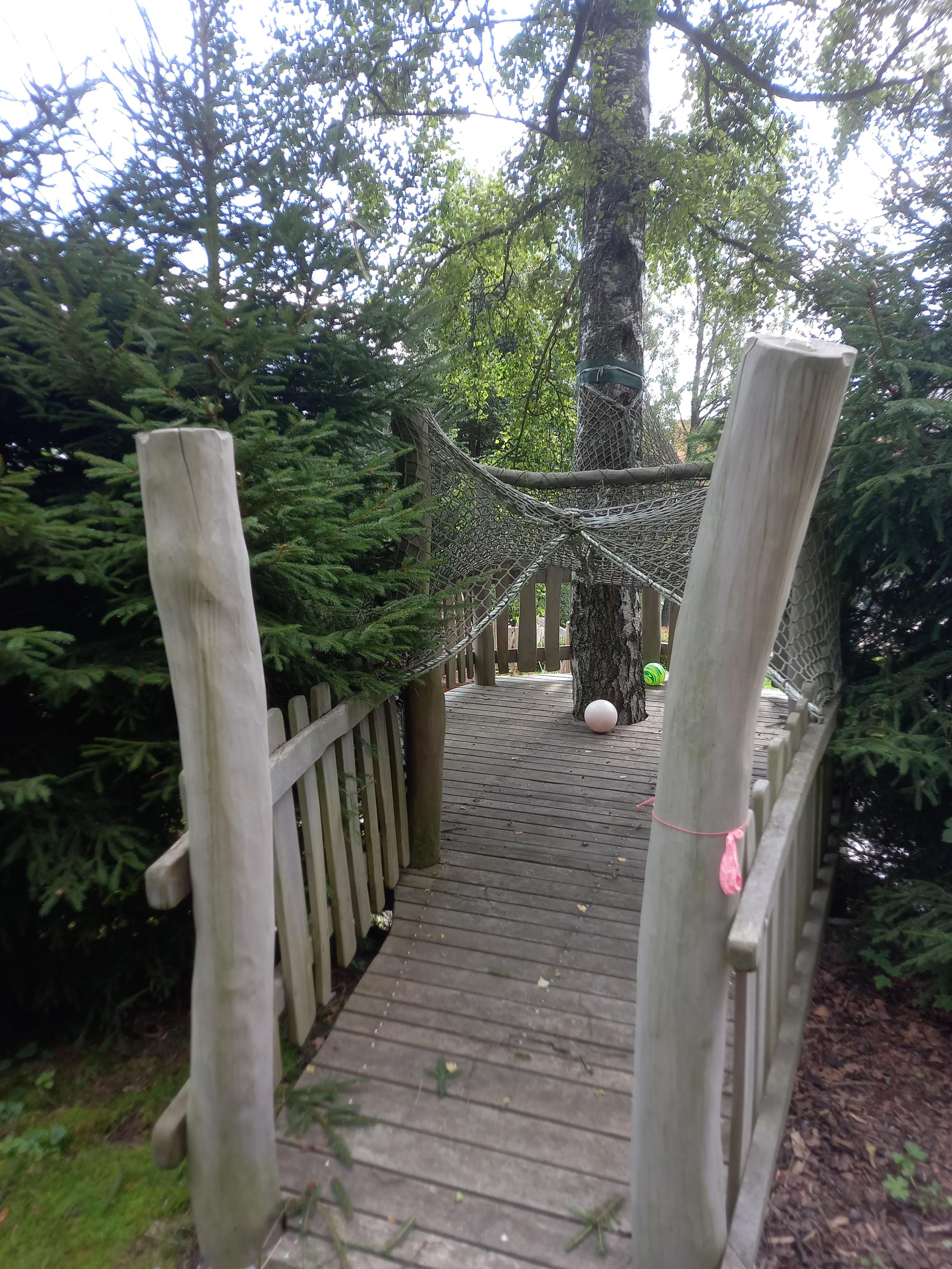 ZŠ a MŠ Horní Planá foto 3