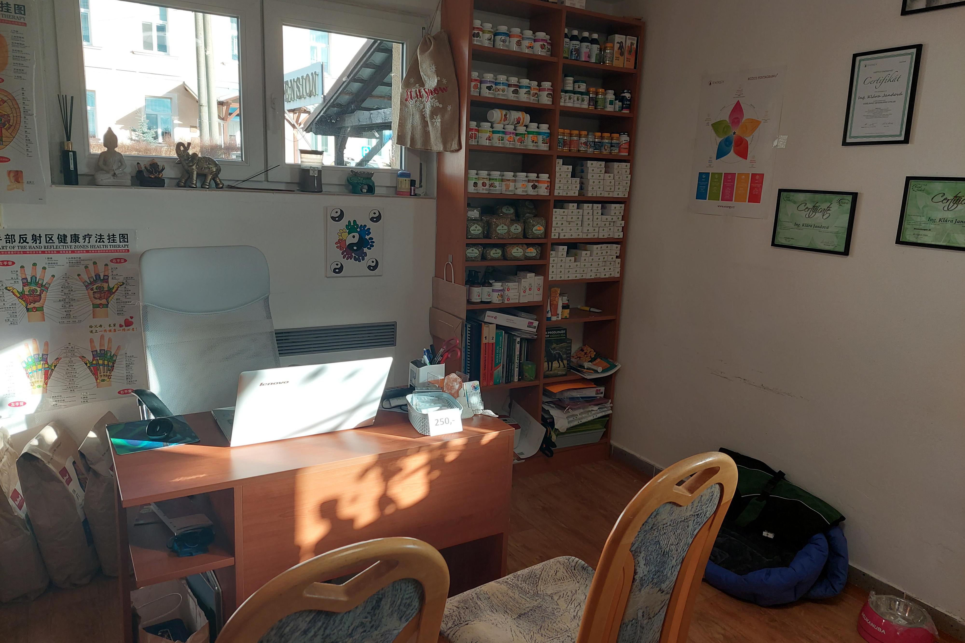 Ing. Klára Jandová - celostní medicína lidí i zvířat