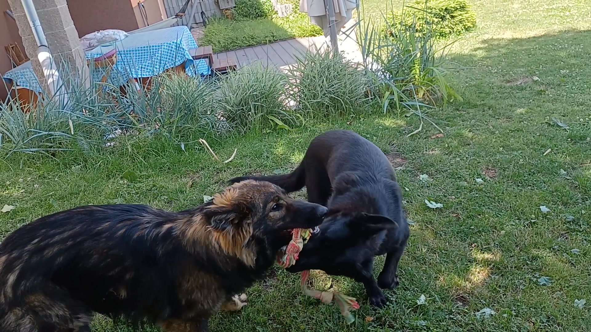Ouřecký blesk foto 2 (náhled videa)