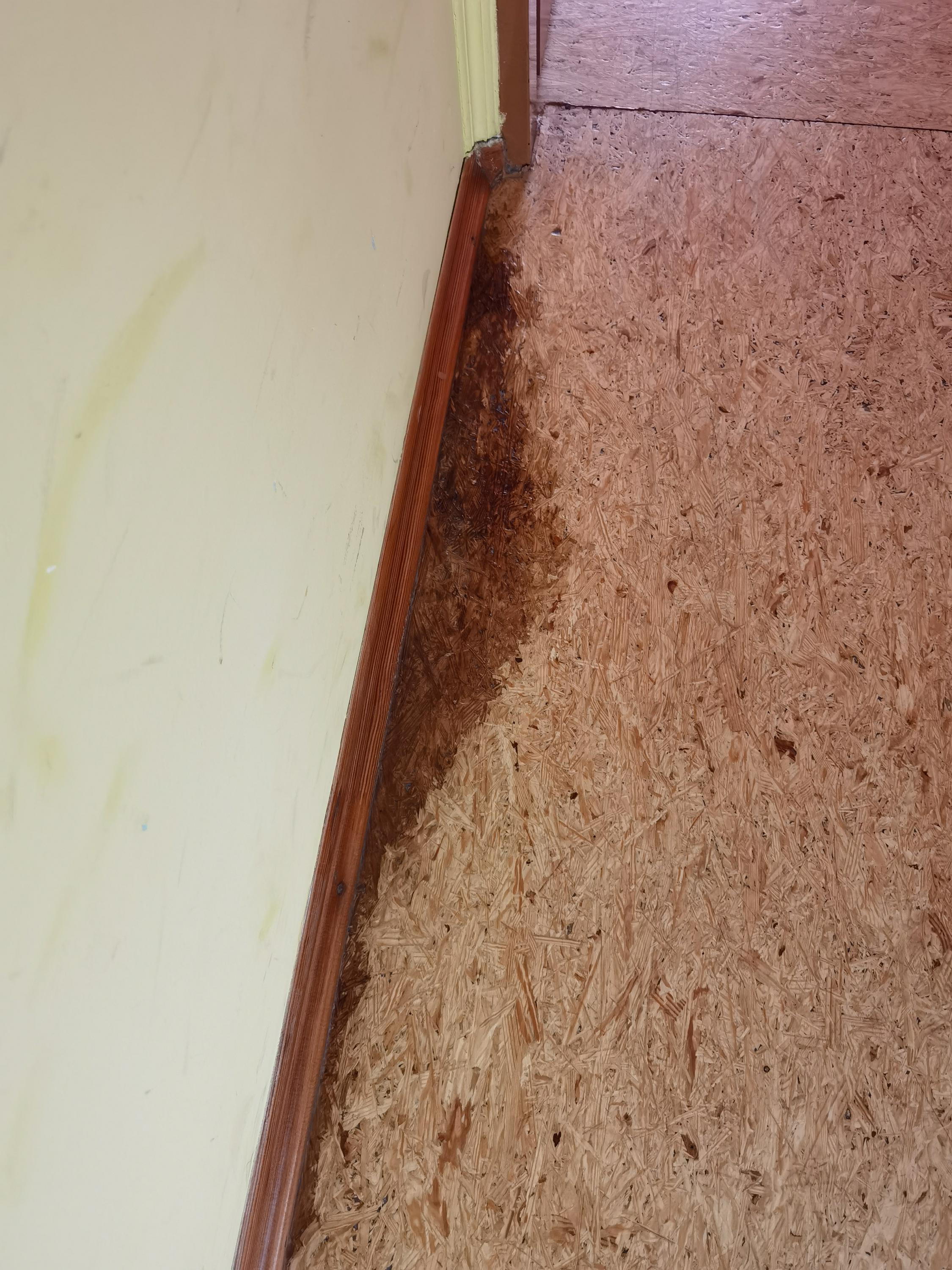 Pension Greenstar foto 5