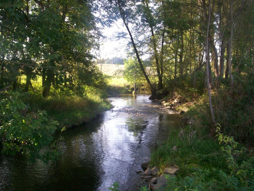 Čečkovice - obecní úřad foto 6
