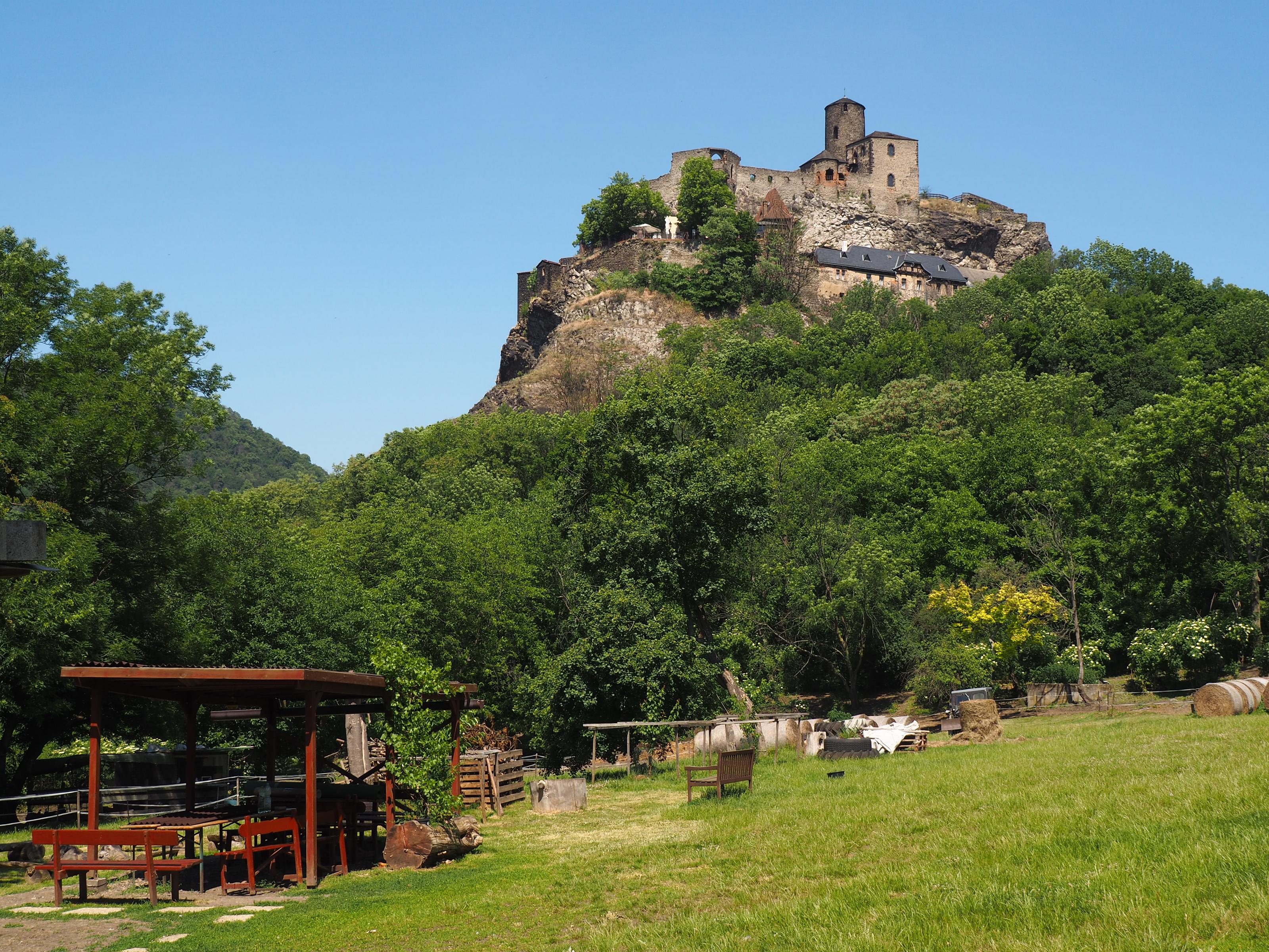 Koně pod hradem Střekovem foto 3