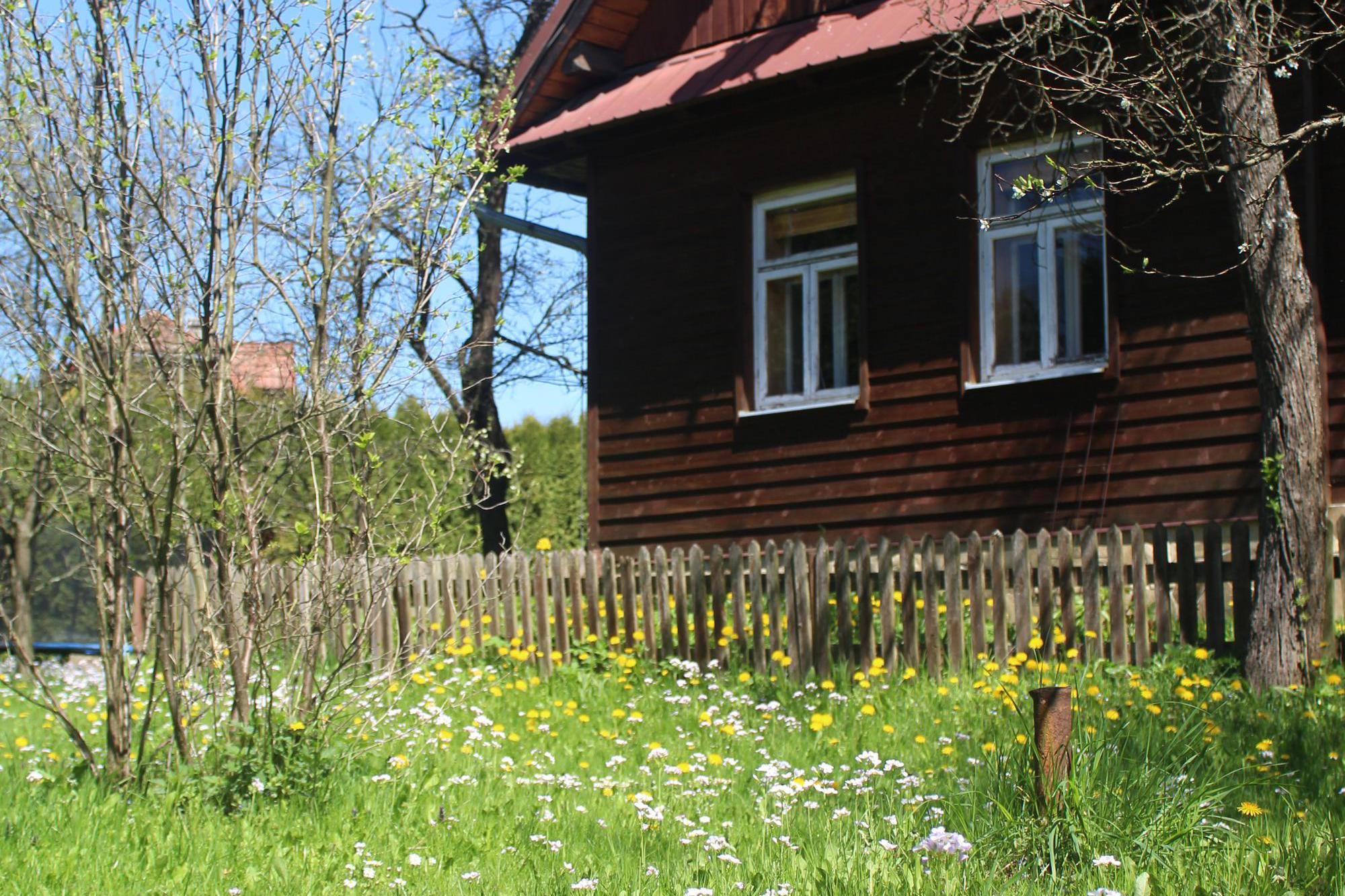 Dřevěnica u Azzyho