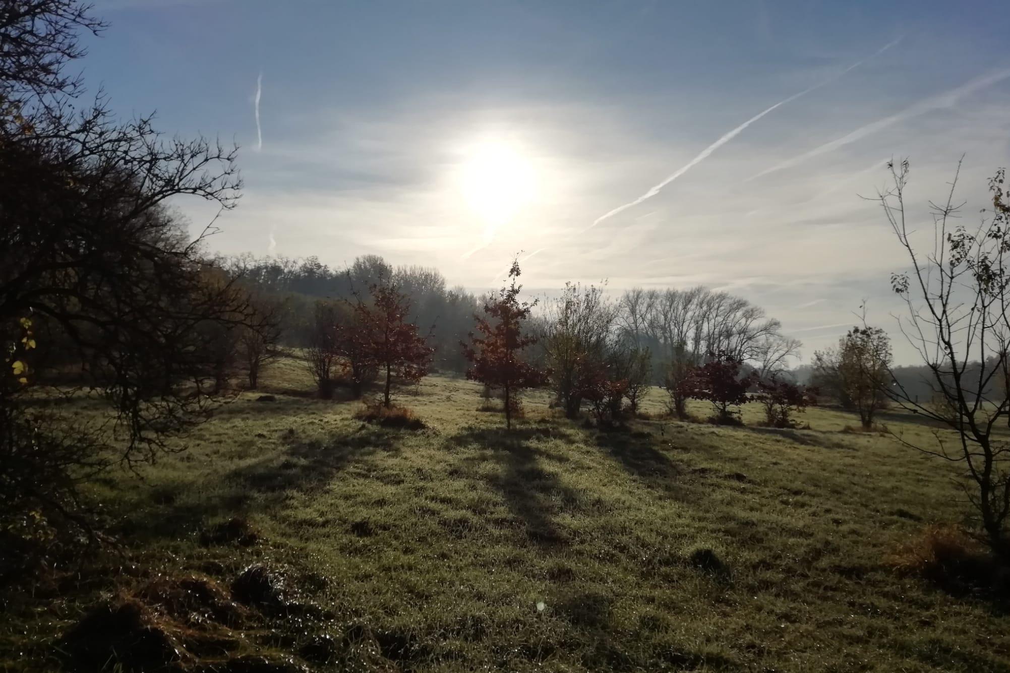 Ustájení Na Mlýnku