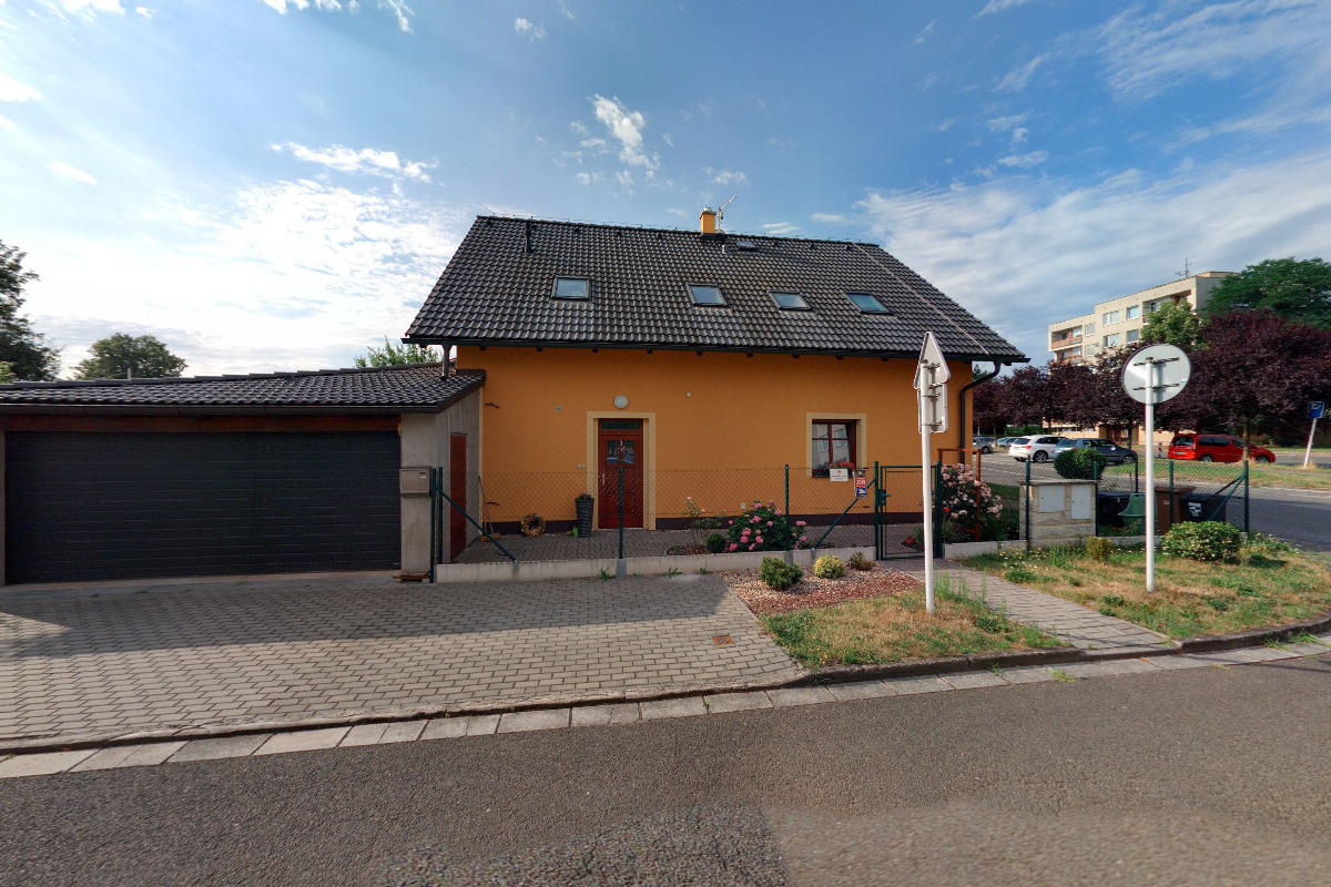 Dřevohračka foto 5