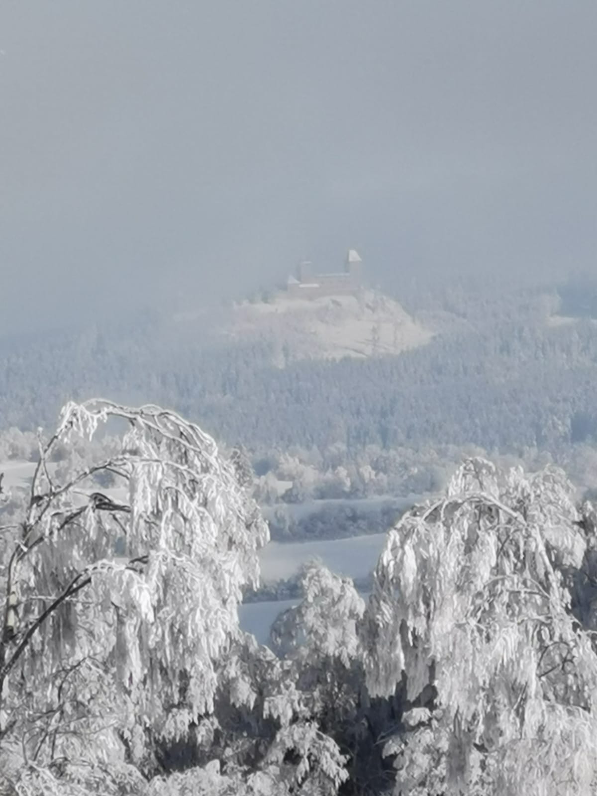 Penzion u Dračí Skály foto 5