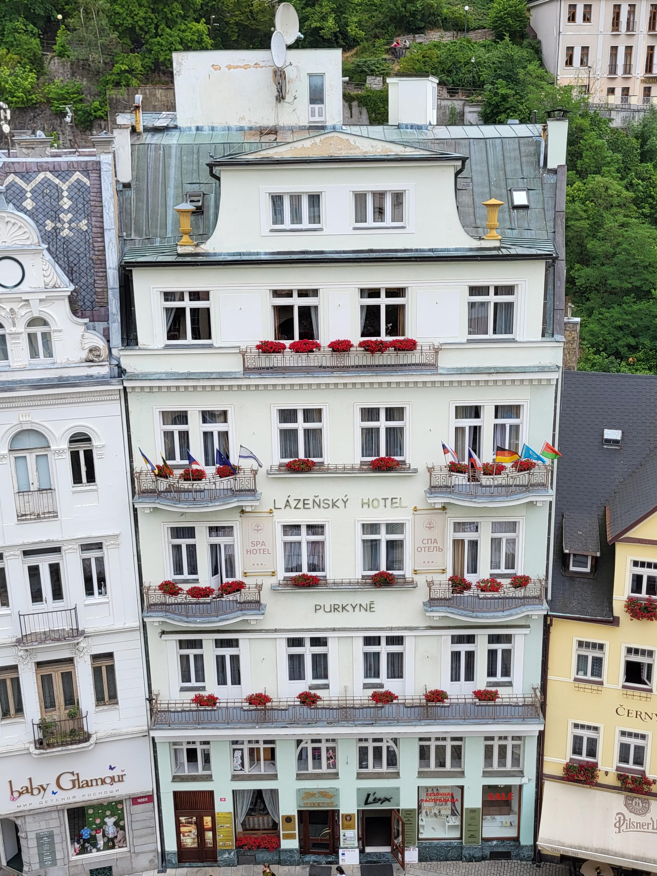 Spa hotel Purkyně foto 6