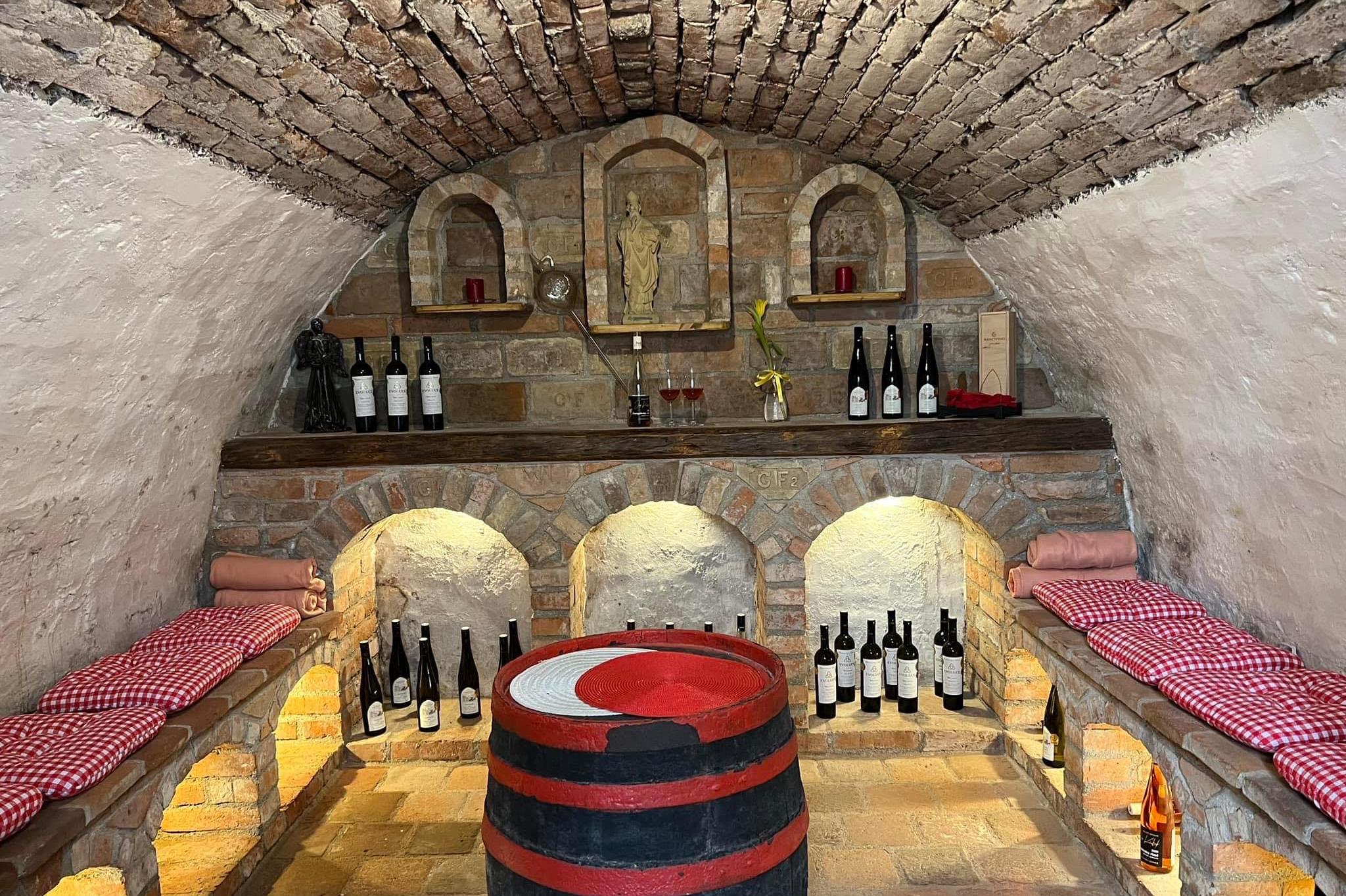 Vinný sklípek U Holešňáků