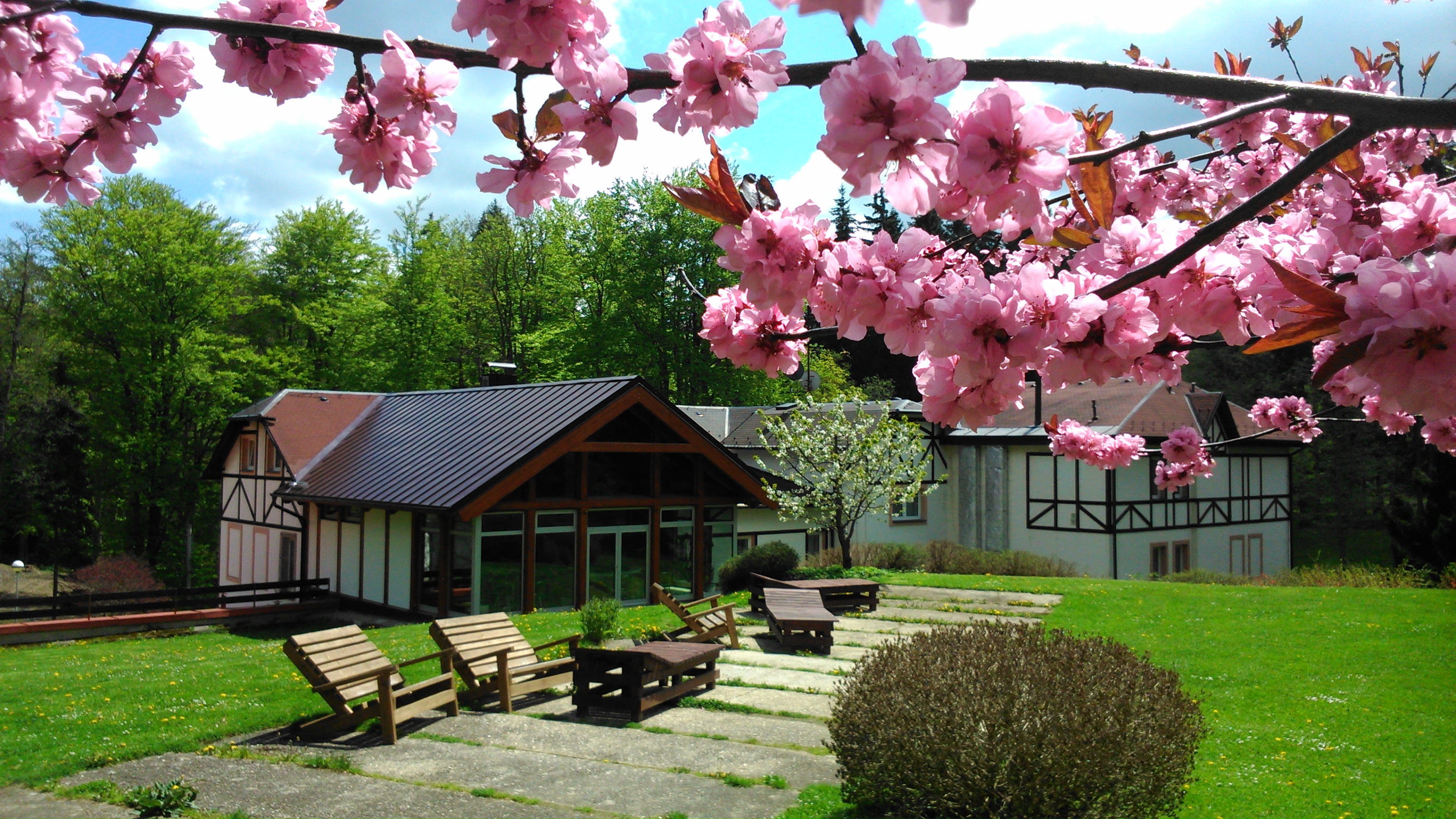 KAVÁRNA LUNA PARK foto 4