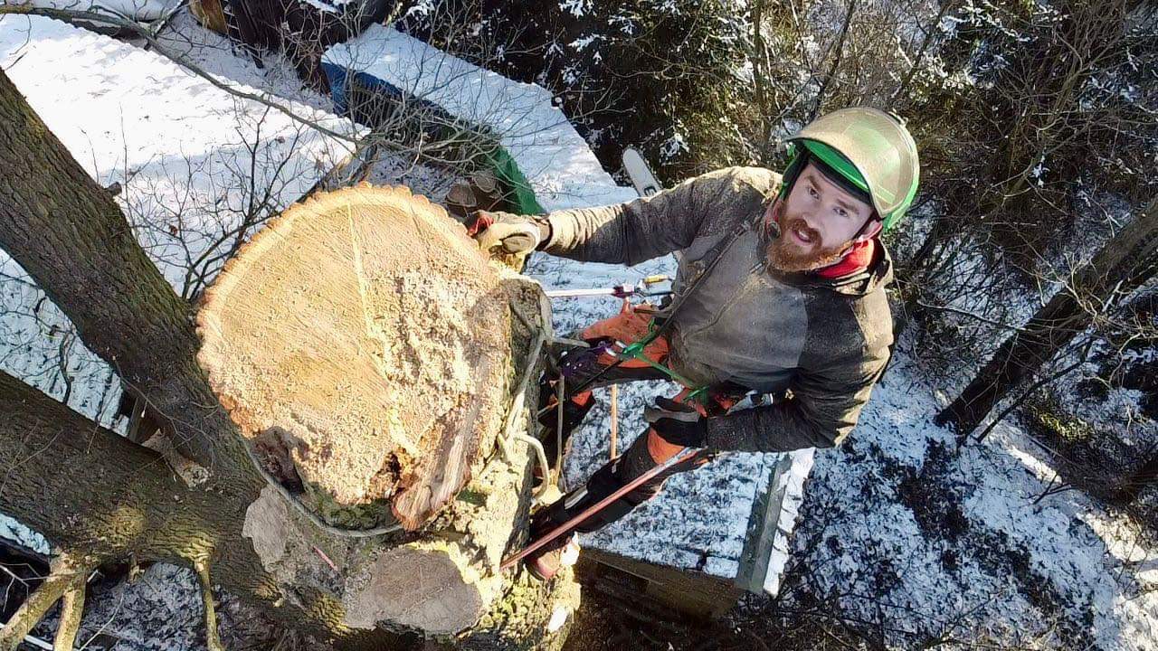 Rizikové kácení stromů - Ondřej Hodný foto 3