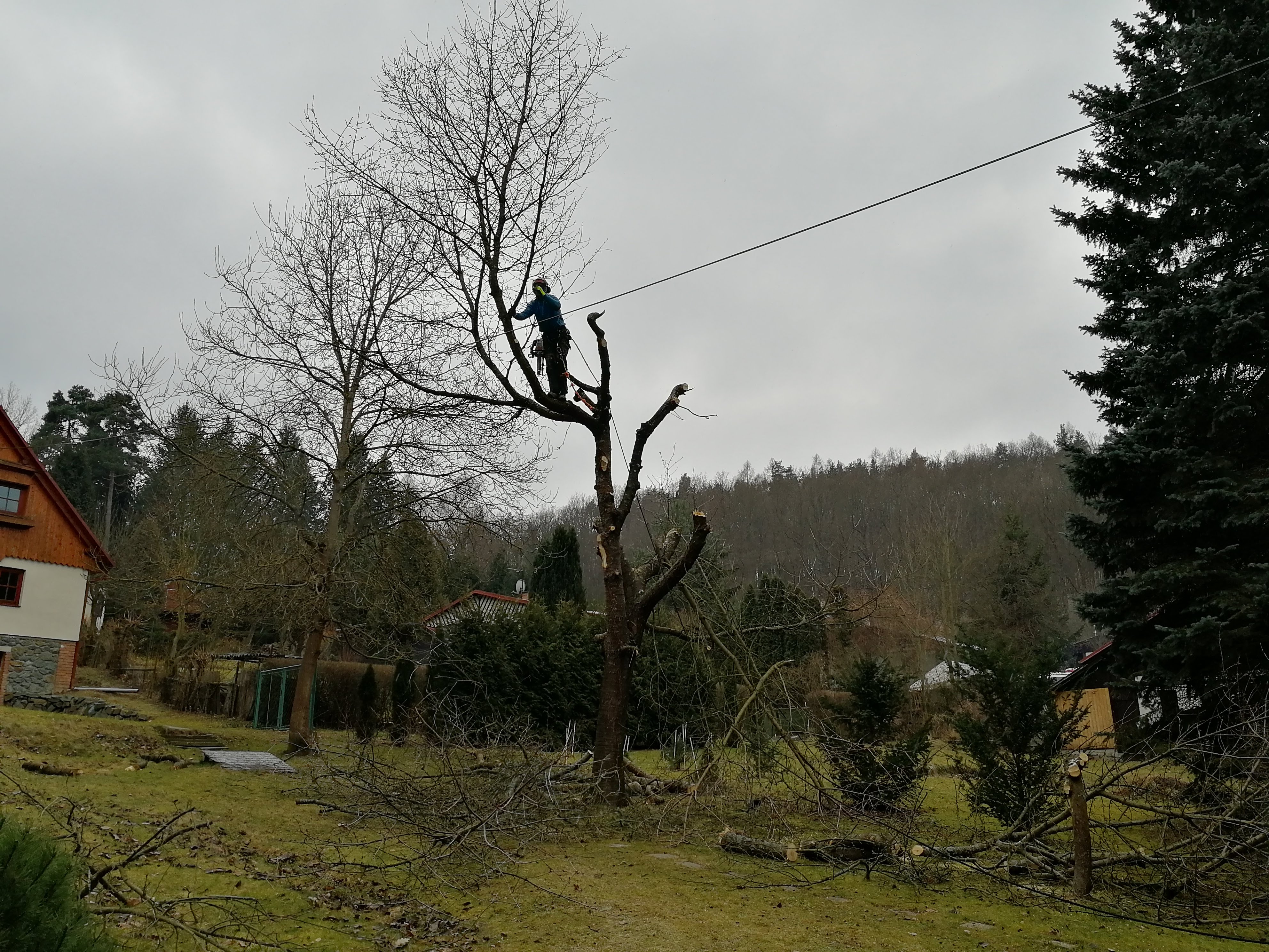 Kácení Šumperk foto 2