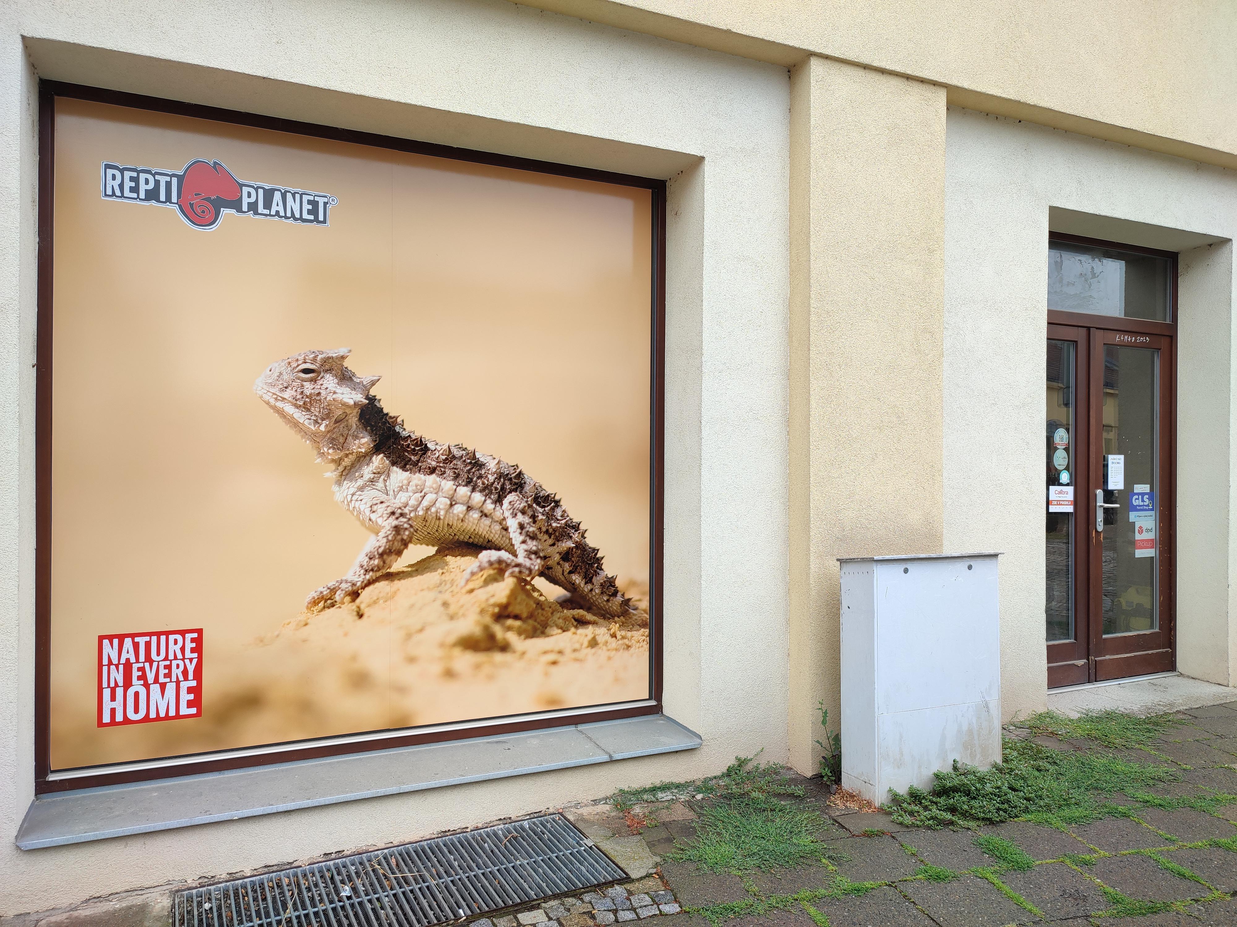 Zvířecí svět Geckonia foto 3