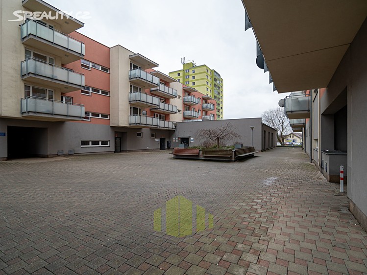 Daňový poradce ev. č. 2083 Denisa Franková foto 1