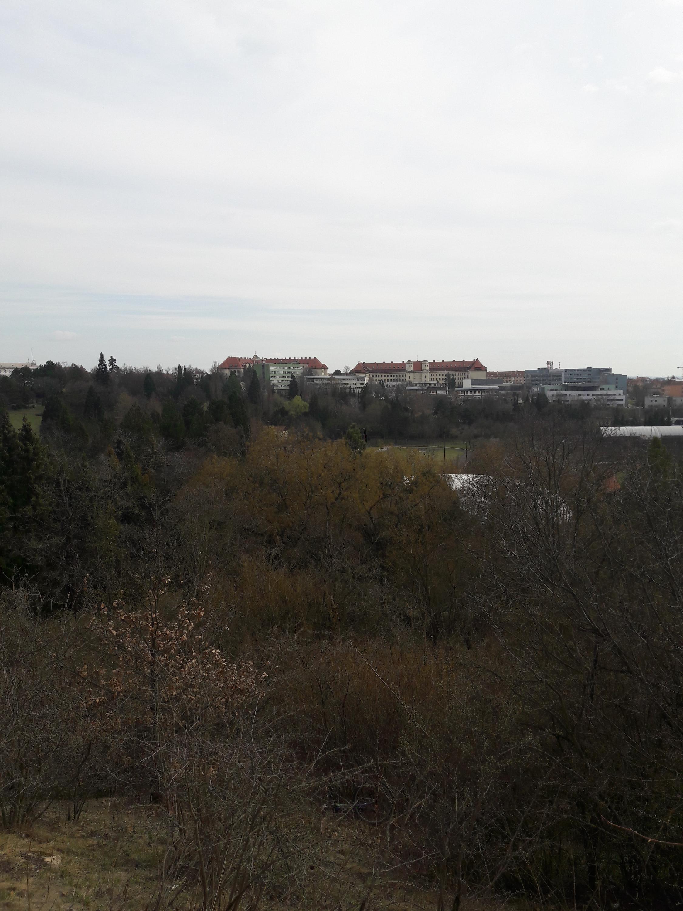 Mendelova univerzita v Brně foto 3