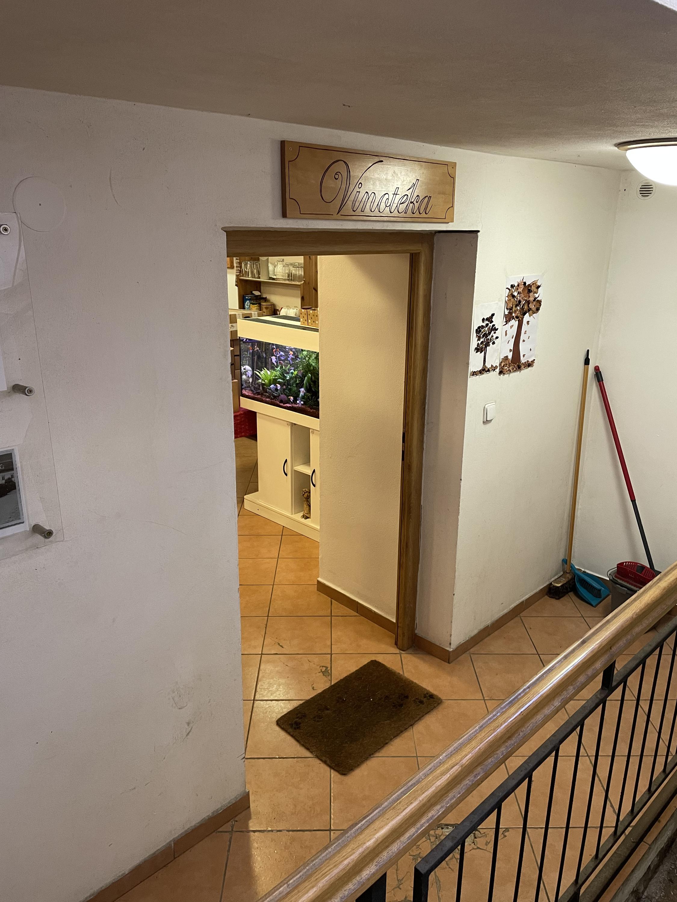 Vinotéka ze starých vinic foto 3