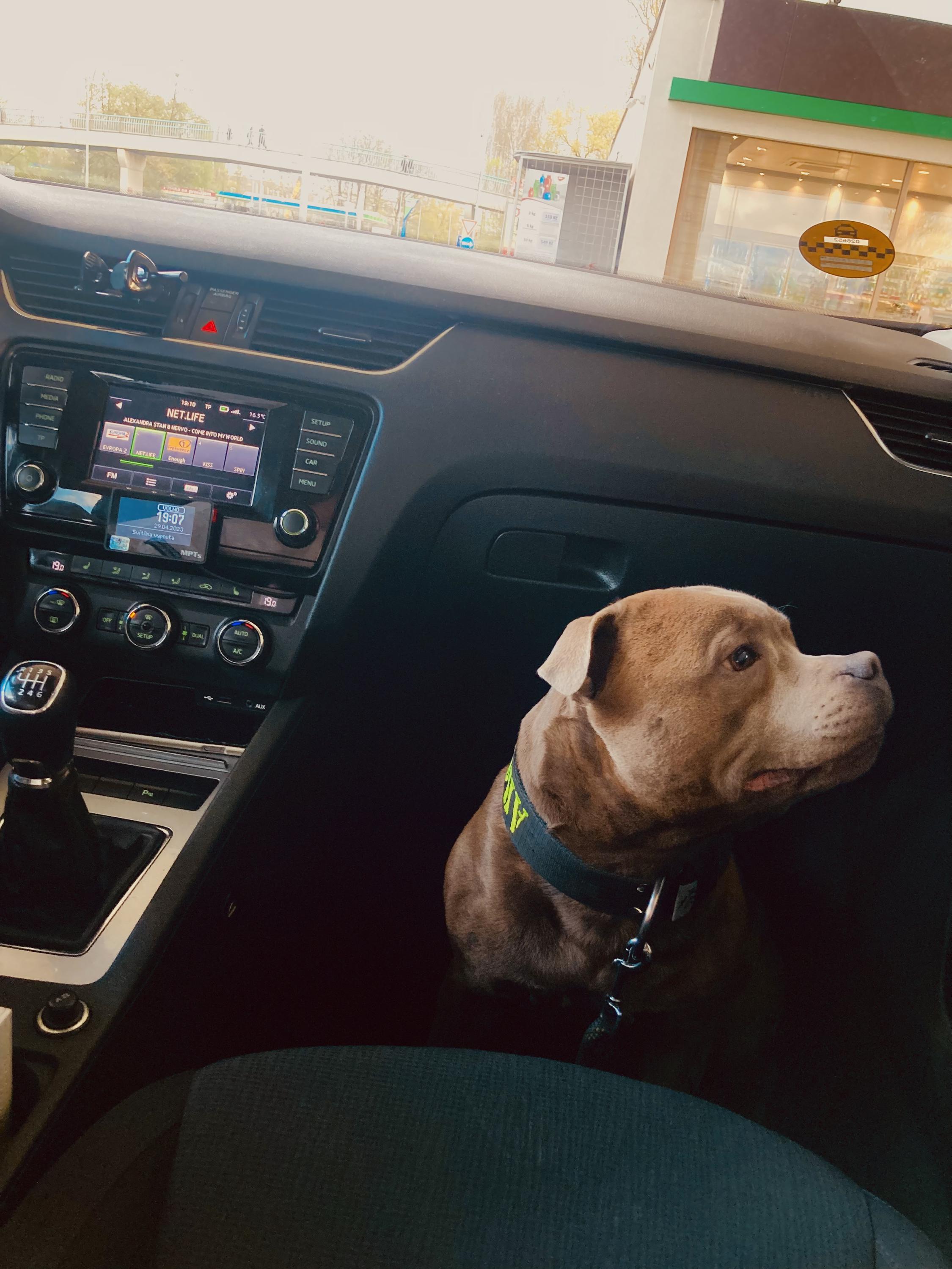 Leo Taxi České Budějovice foto 5