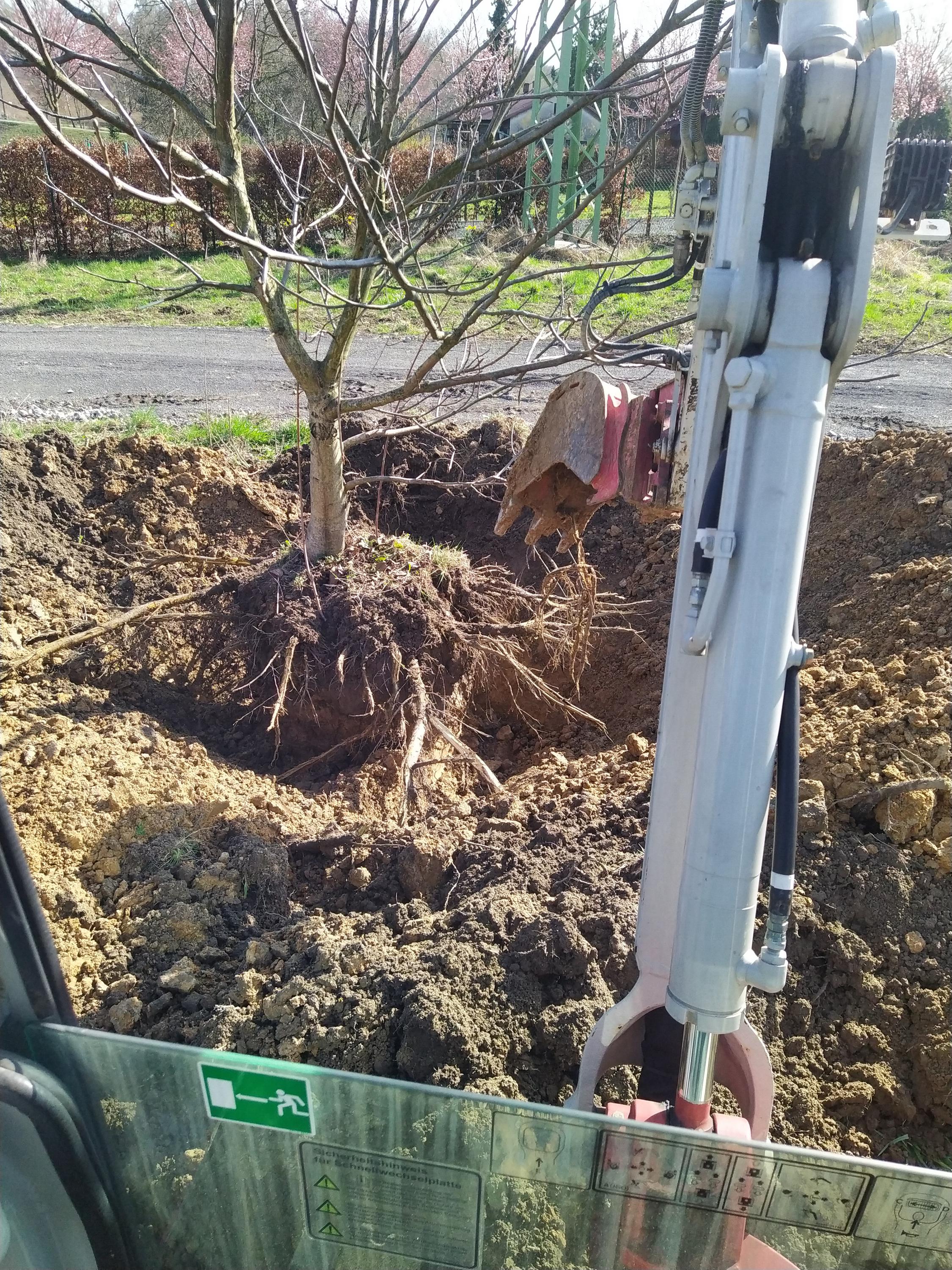 Zemní a výkopové práce Petr Chromiak foto 4