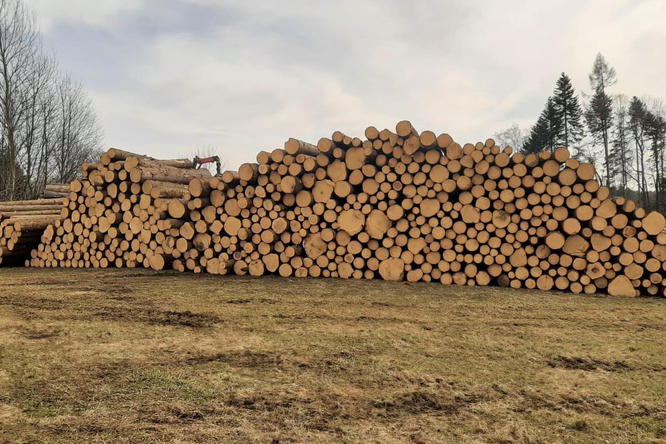 LESY MENŠÍK, s.r.o.