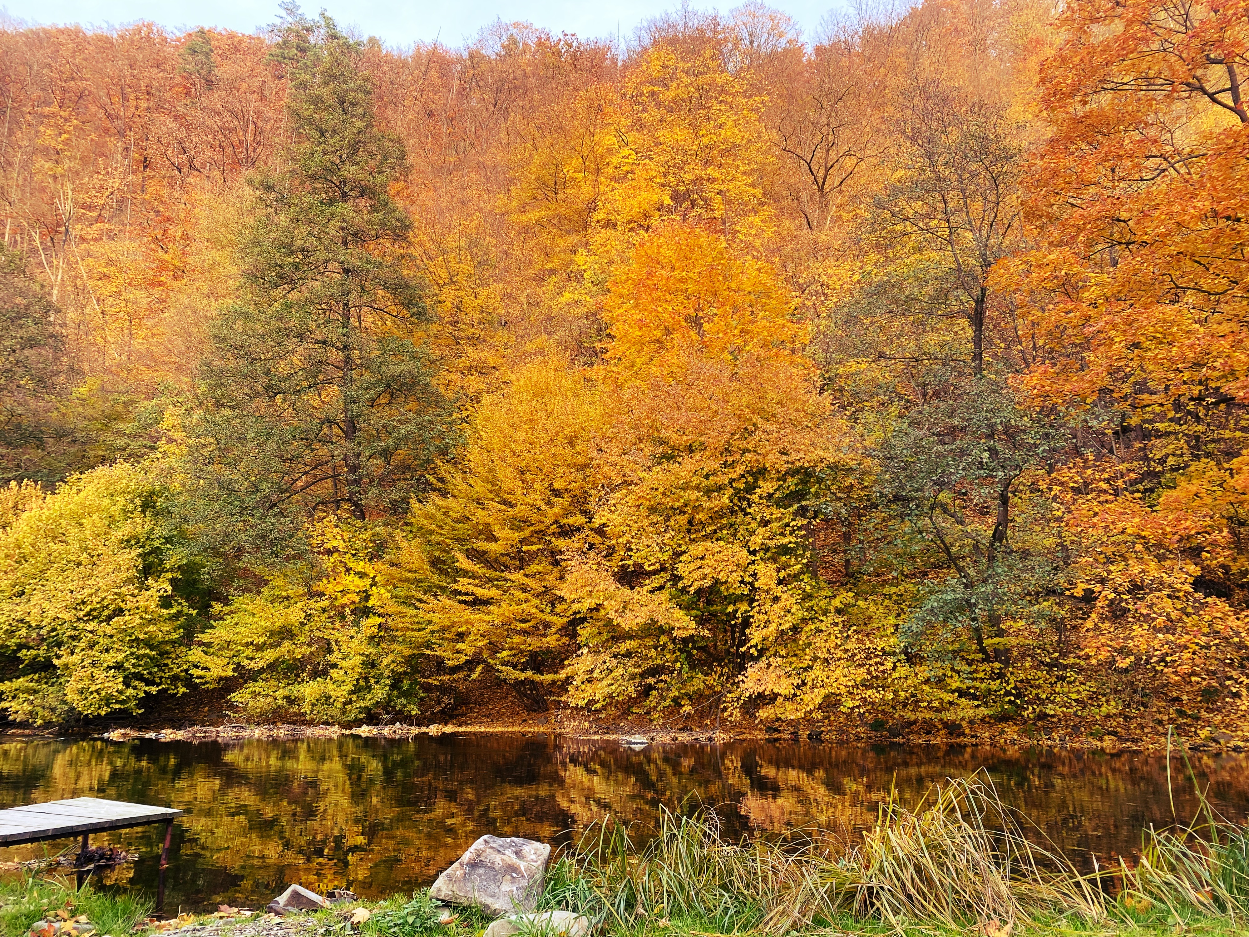 Chata Žimrovice foto 3