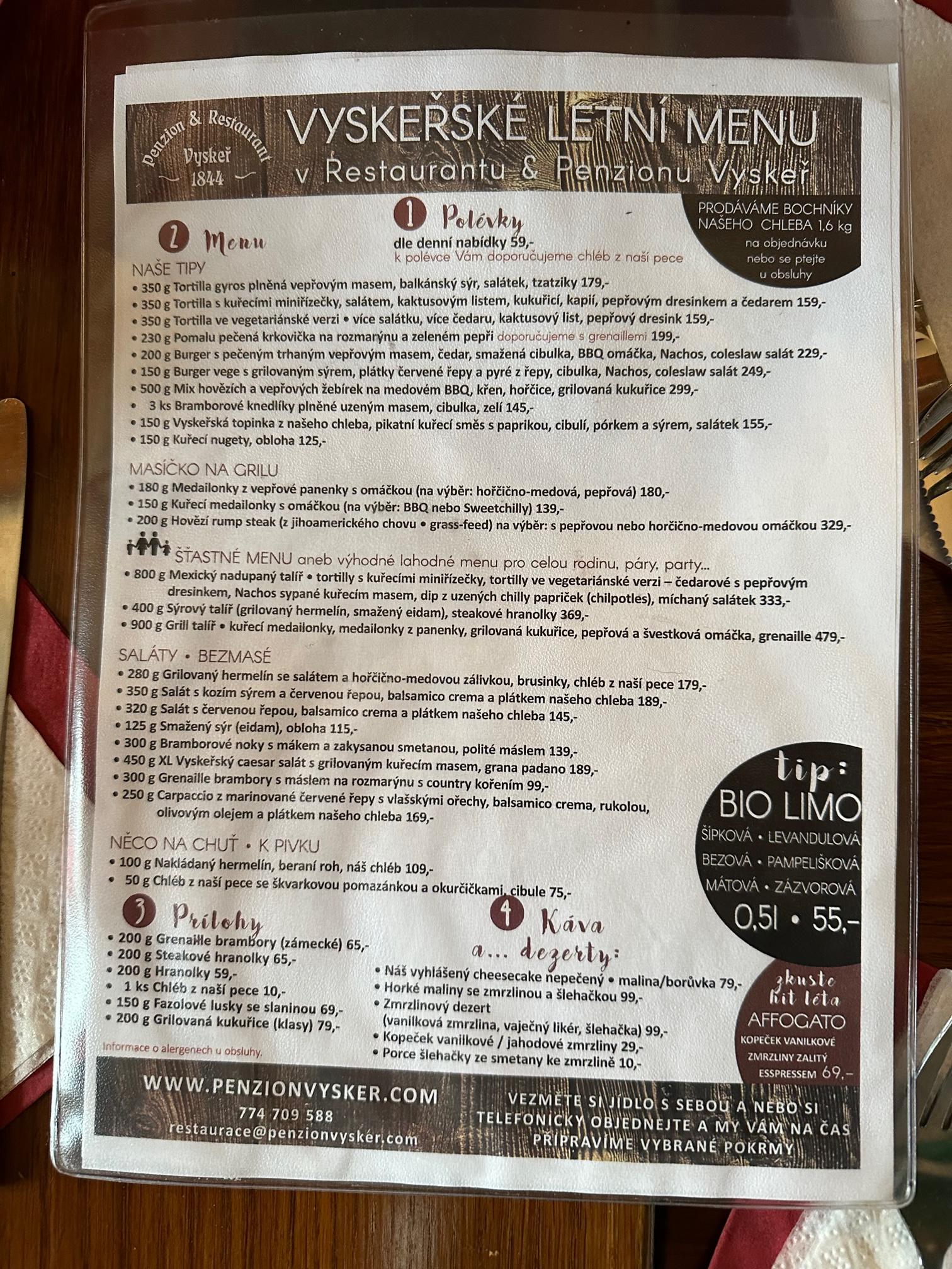 Penzion Vyskeř foto 5