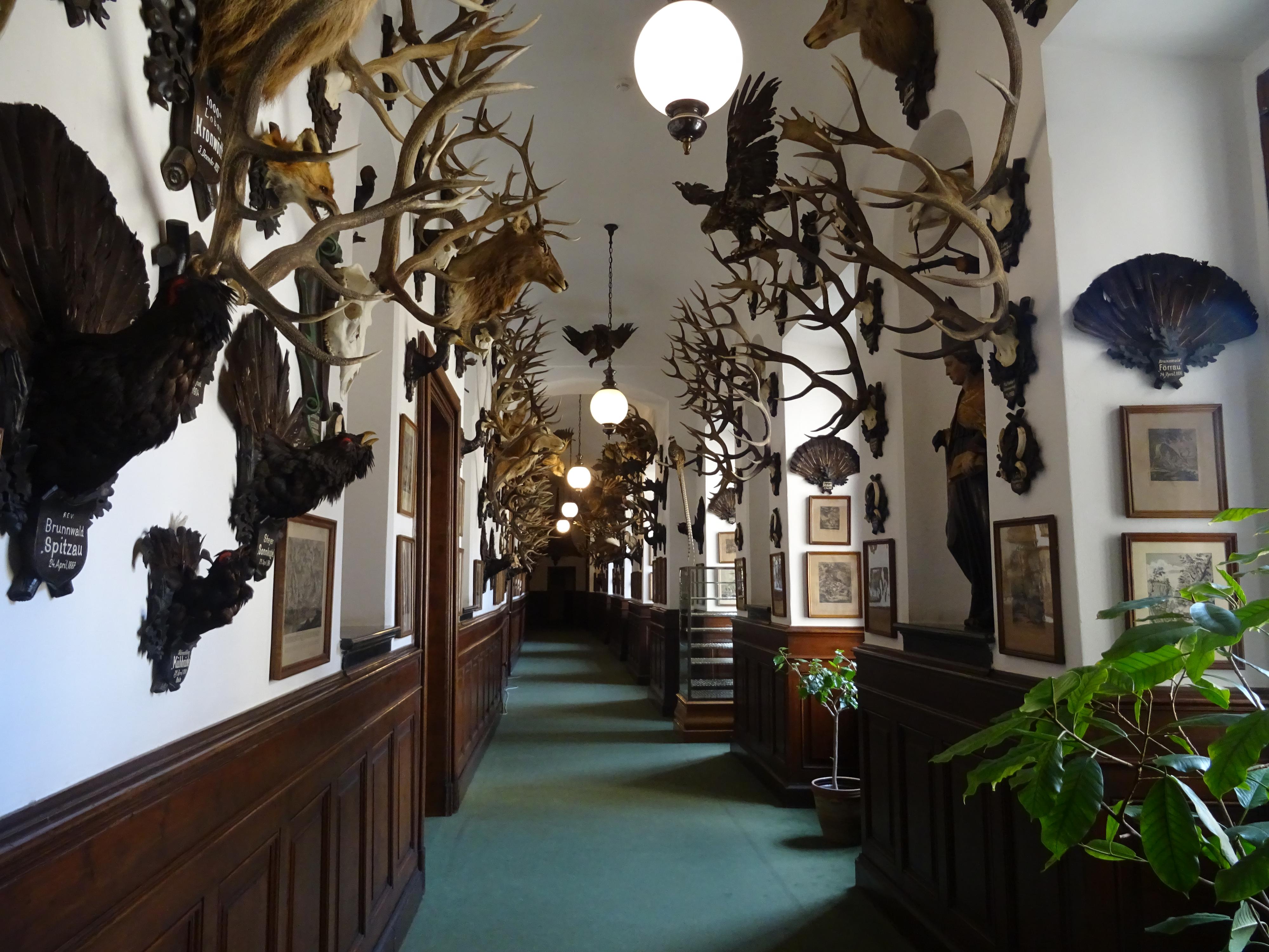 Sváča snack Konopiště foto 2