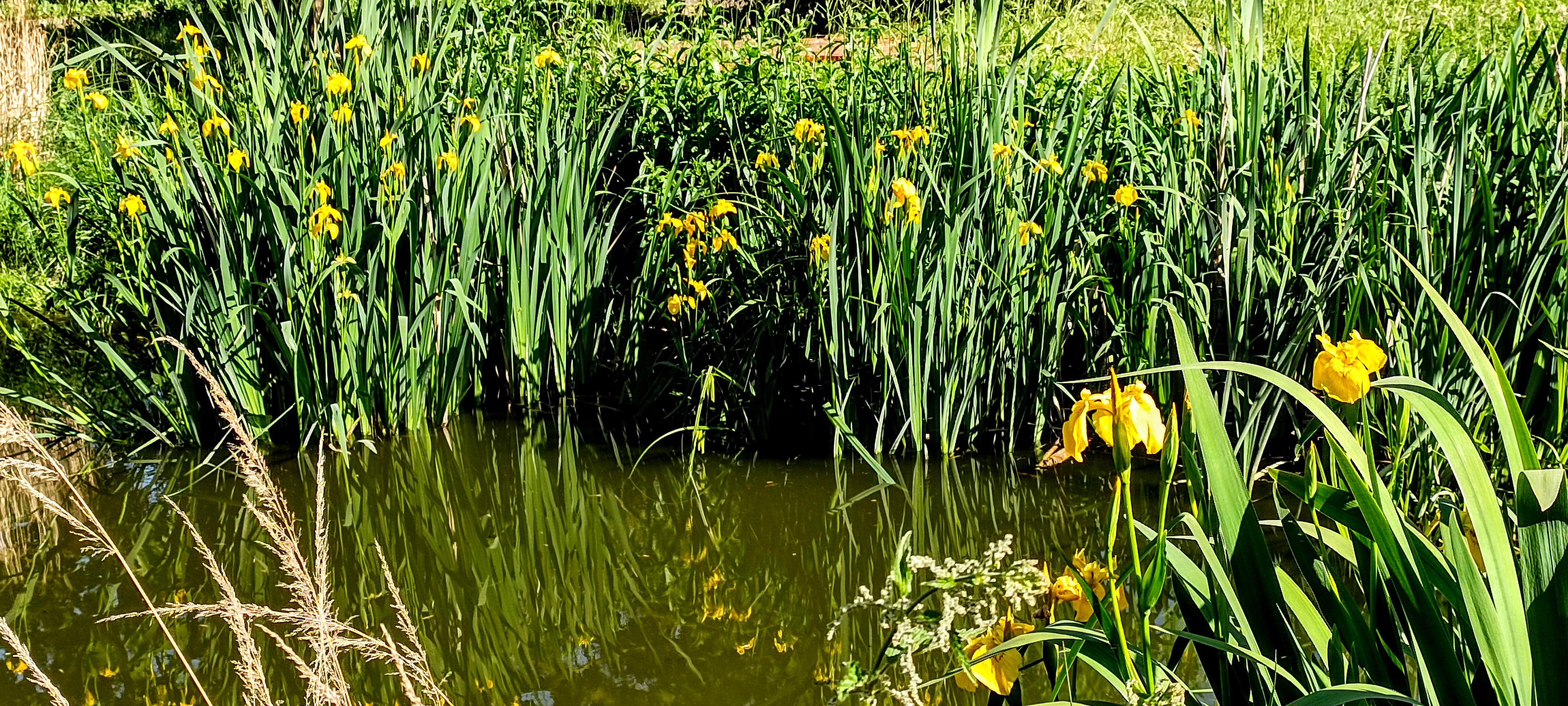 Léčebné a rehabilitační středisko Chvaly foto 4