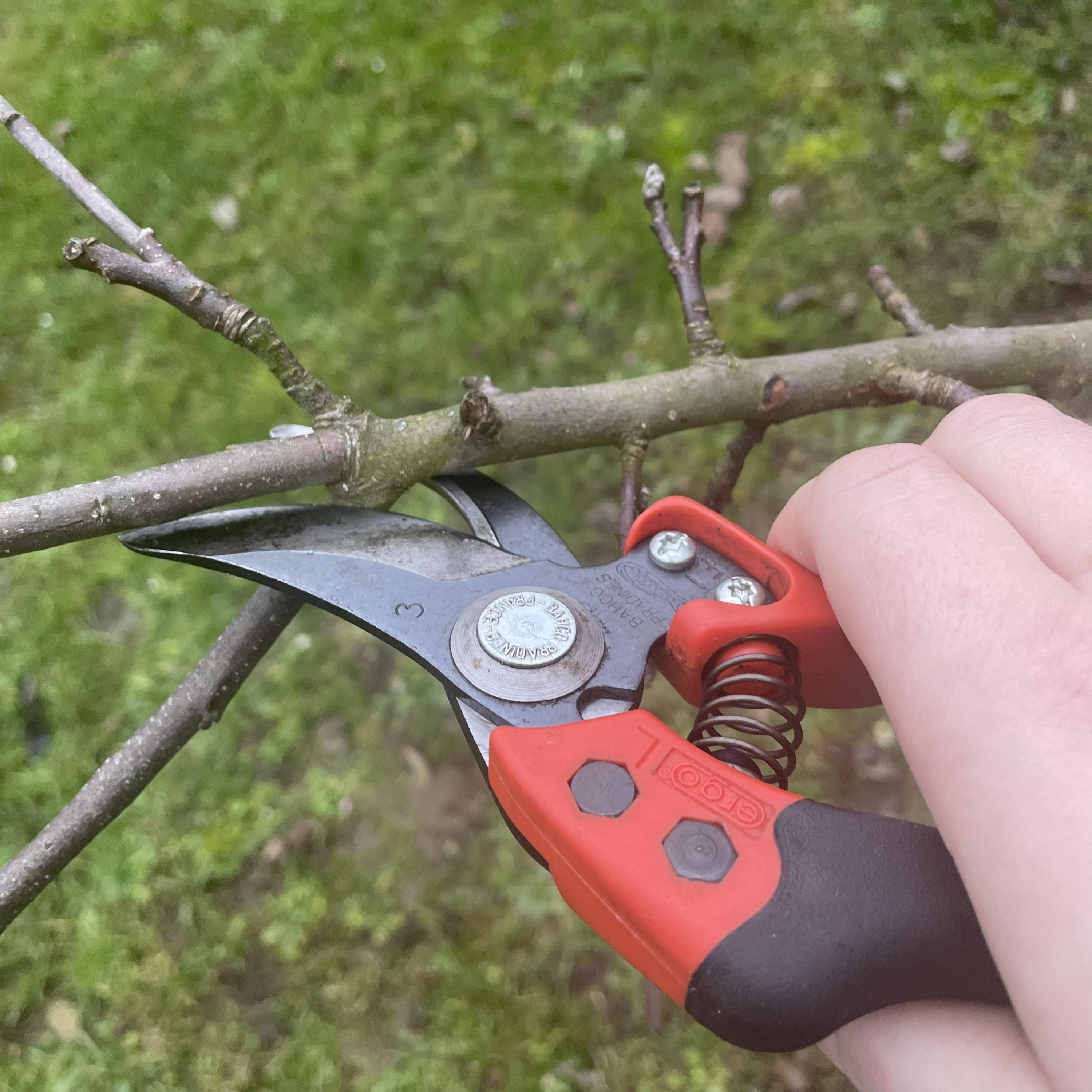 Zahradnické služby Ing. Igor Maťovčík foto 4
