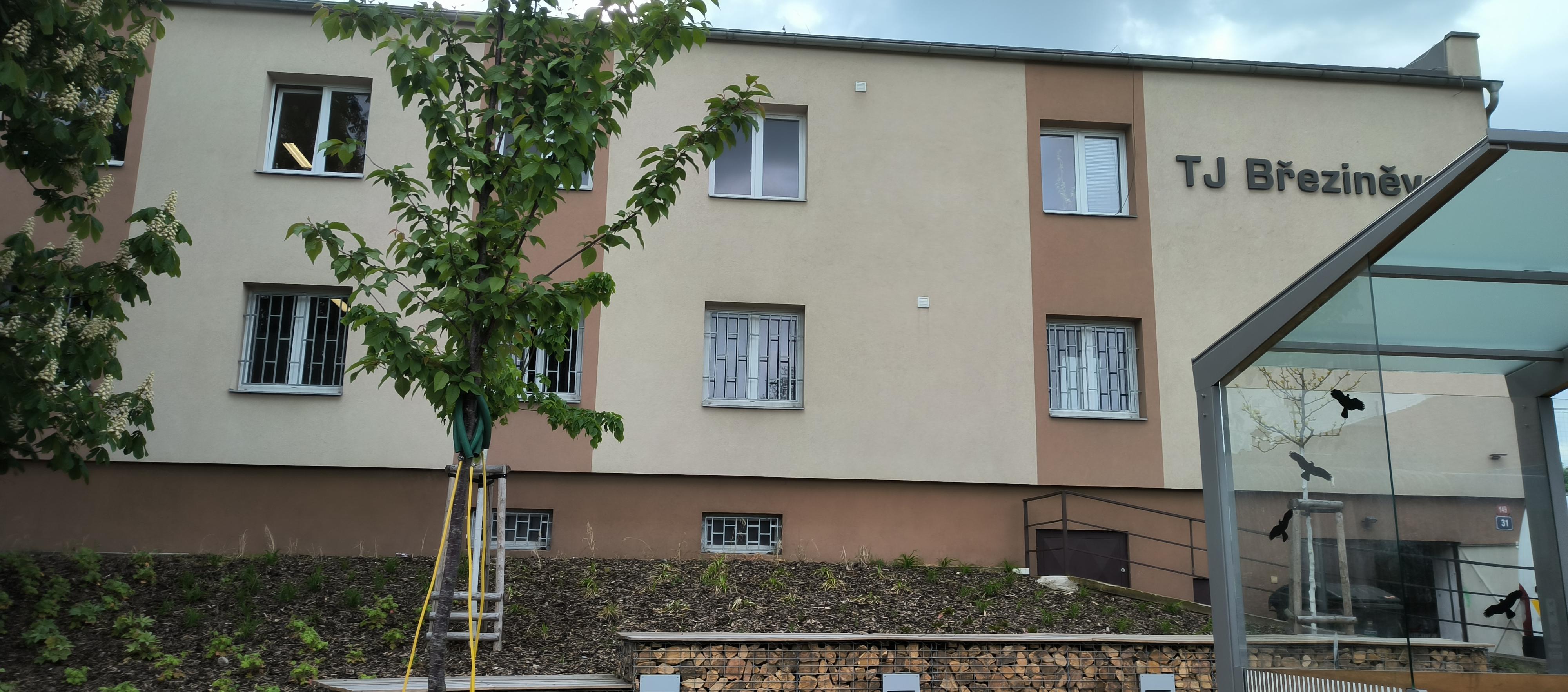 Tělovýchovná jednota Březiněves