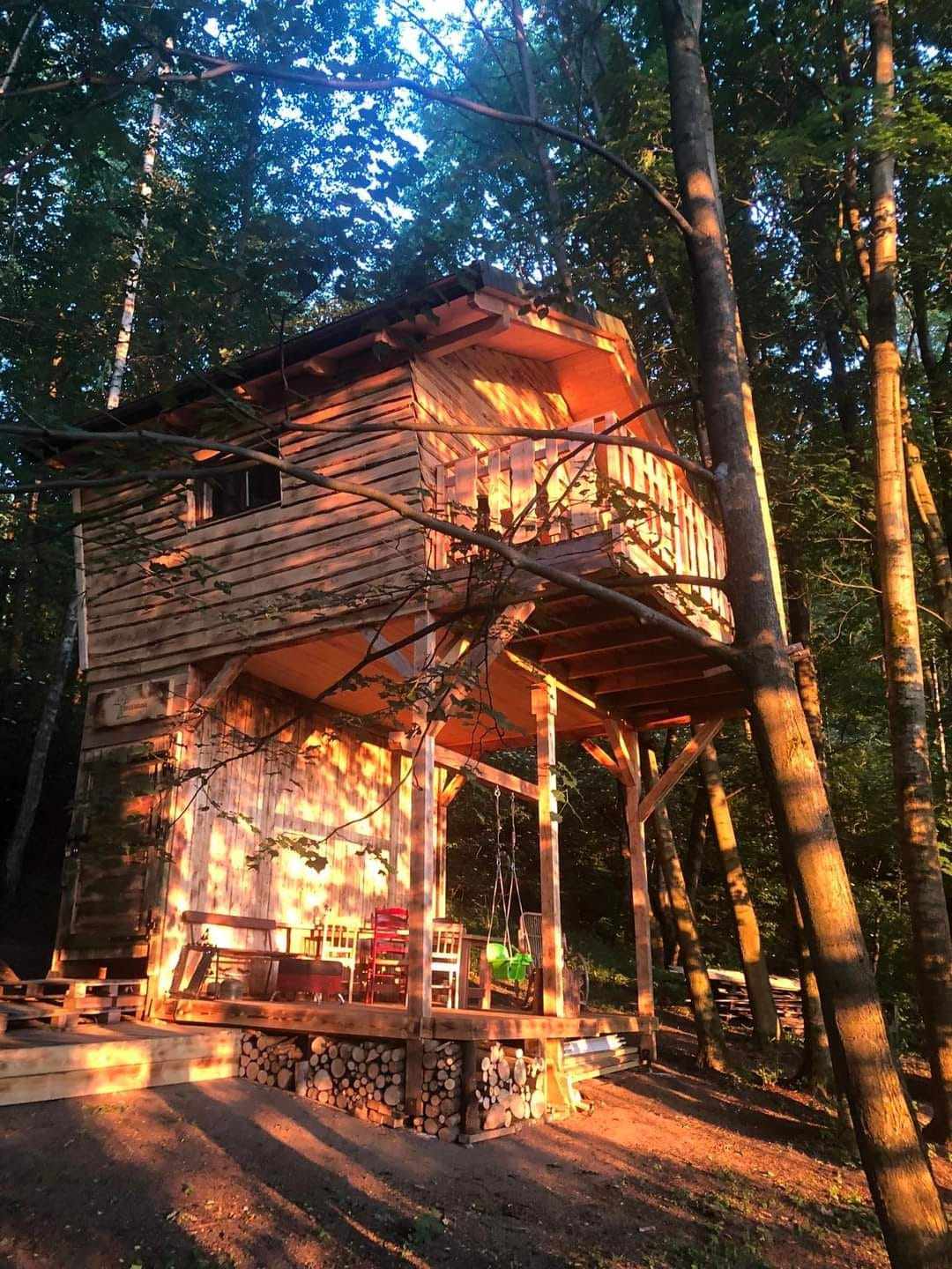 Treehouse Velké Losiny foto 6