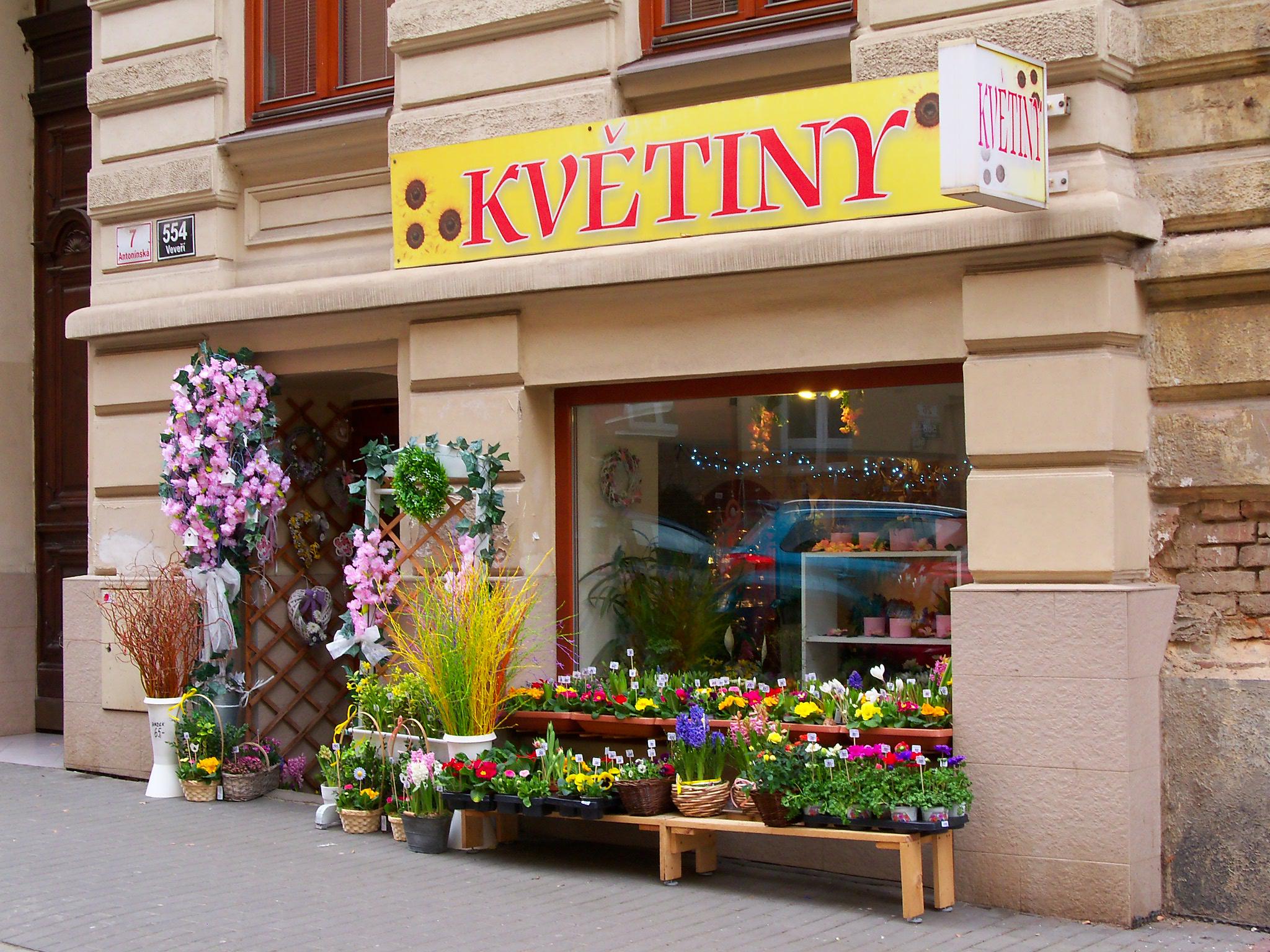 Květiny Antonínská foto 3